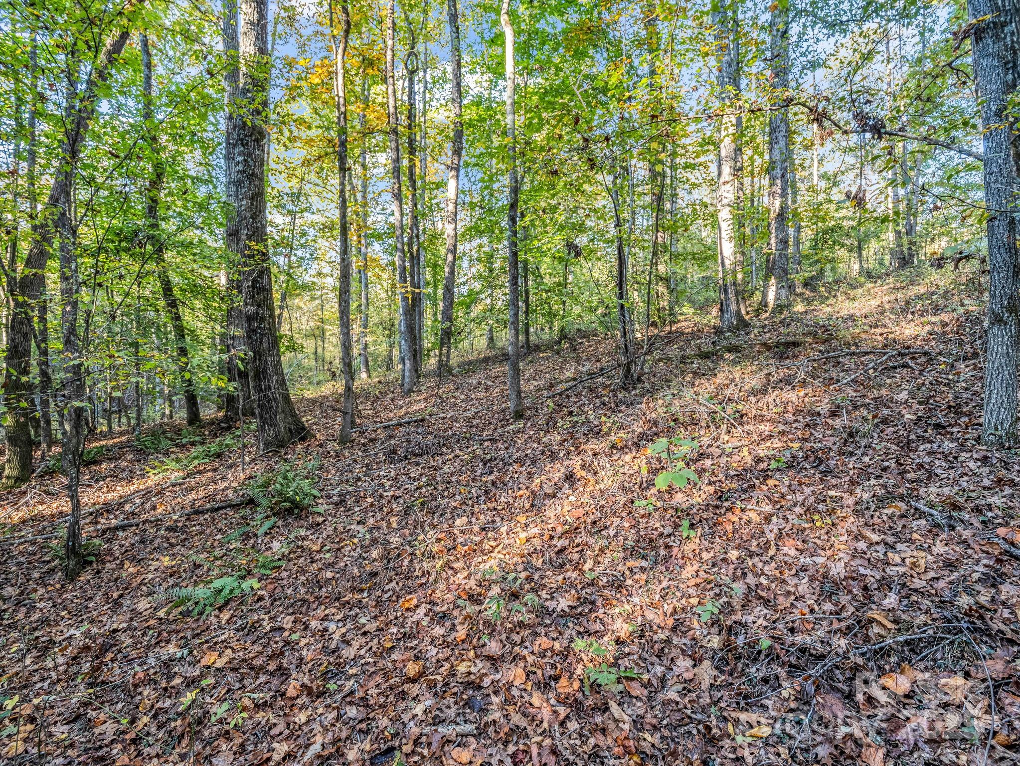 663 Landrum Road — Columbus