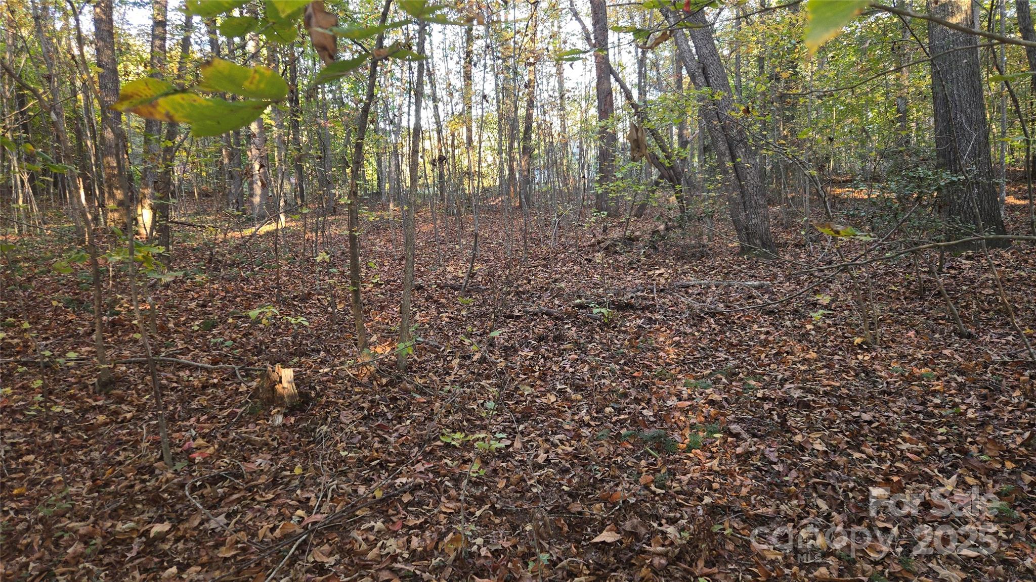 663 Landrum Road — Columbus