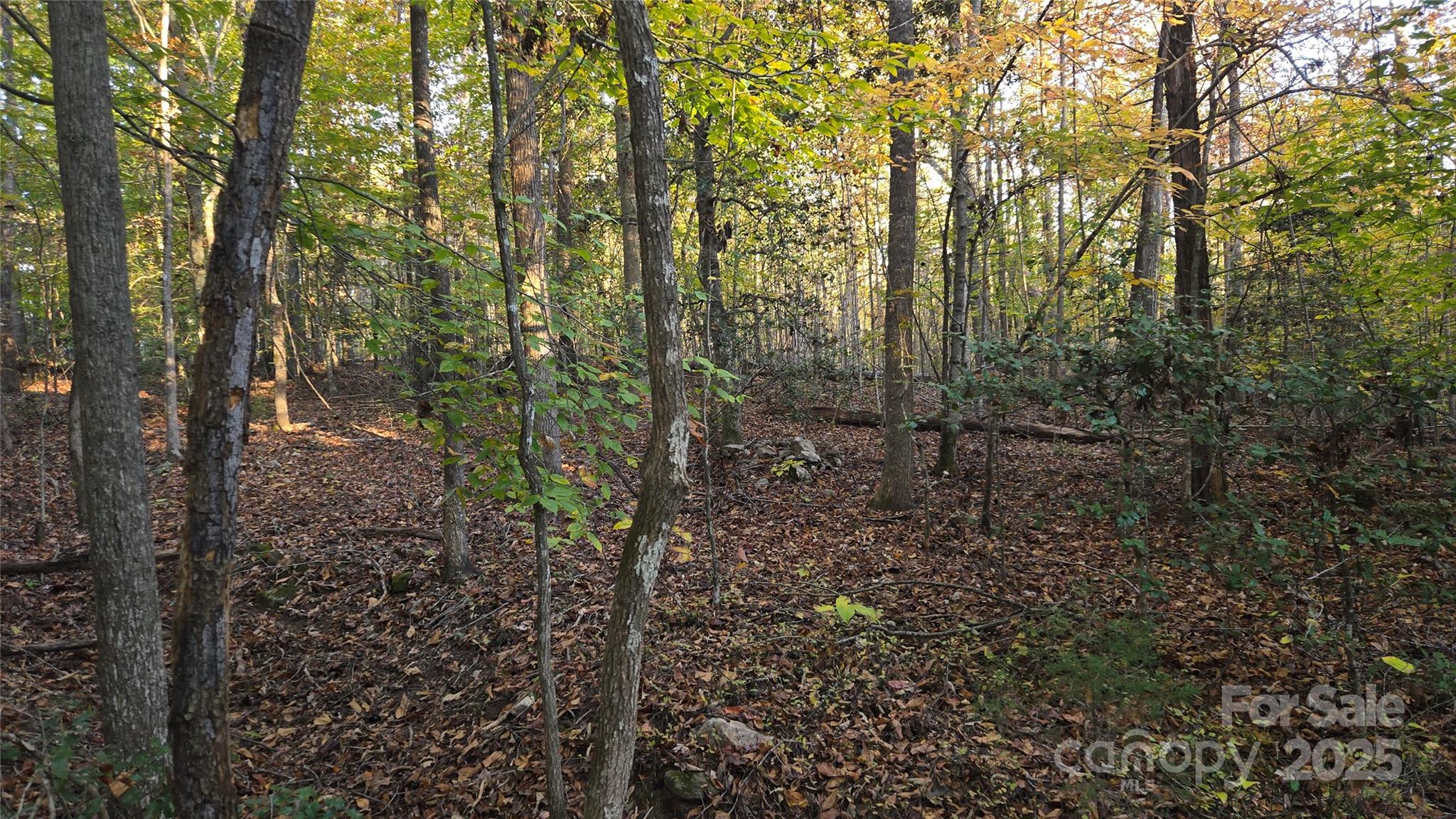 663 Landrum Road — Columbus