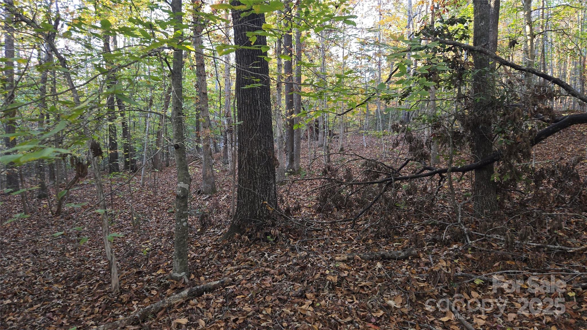 663 Landrum Road — Columbus