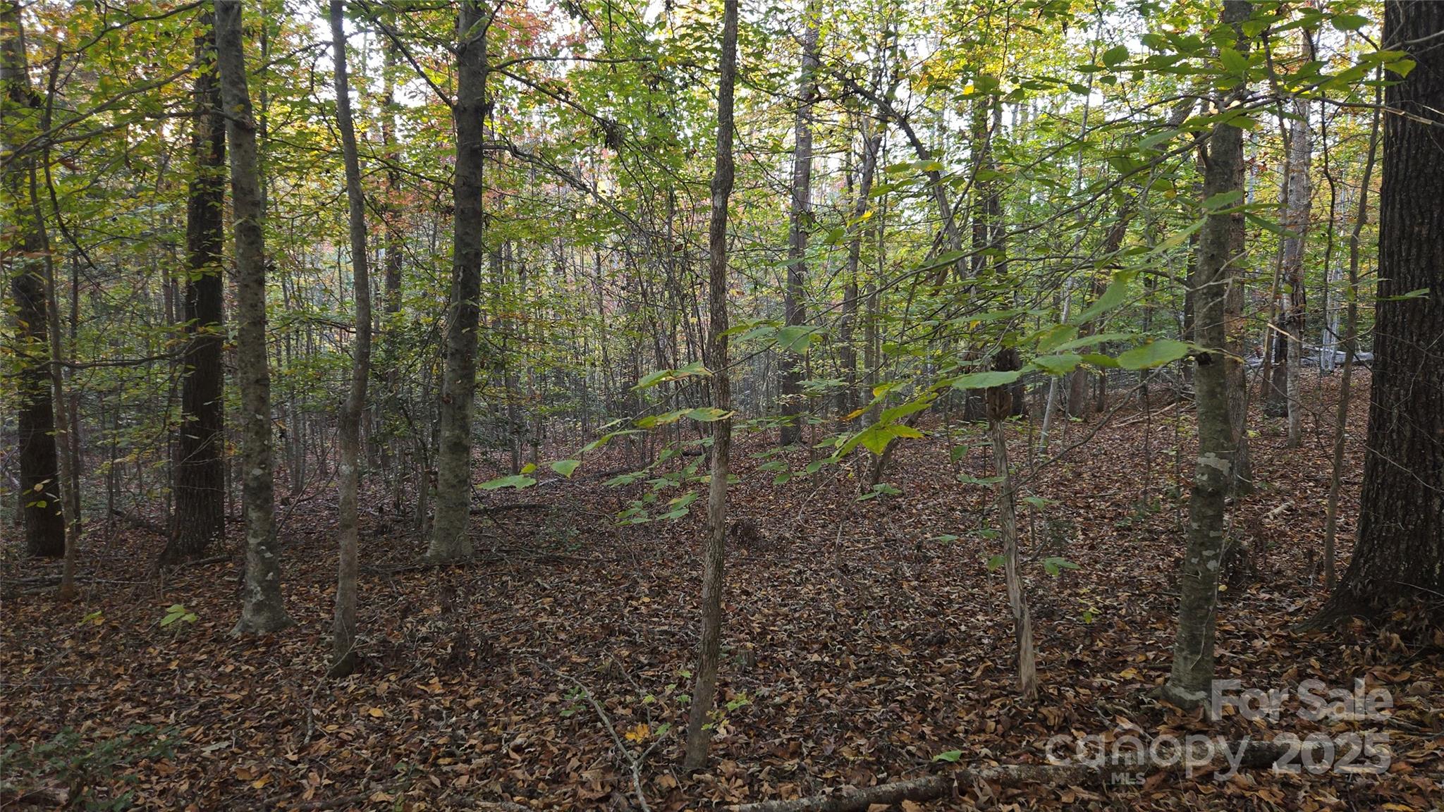663 Landrum Road — Columbus
