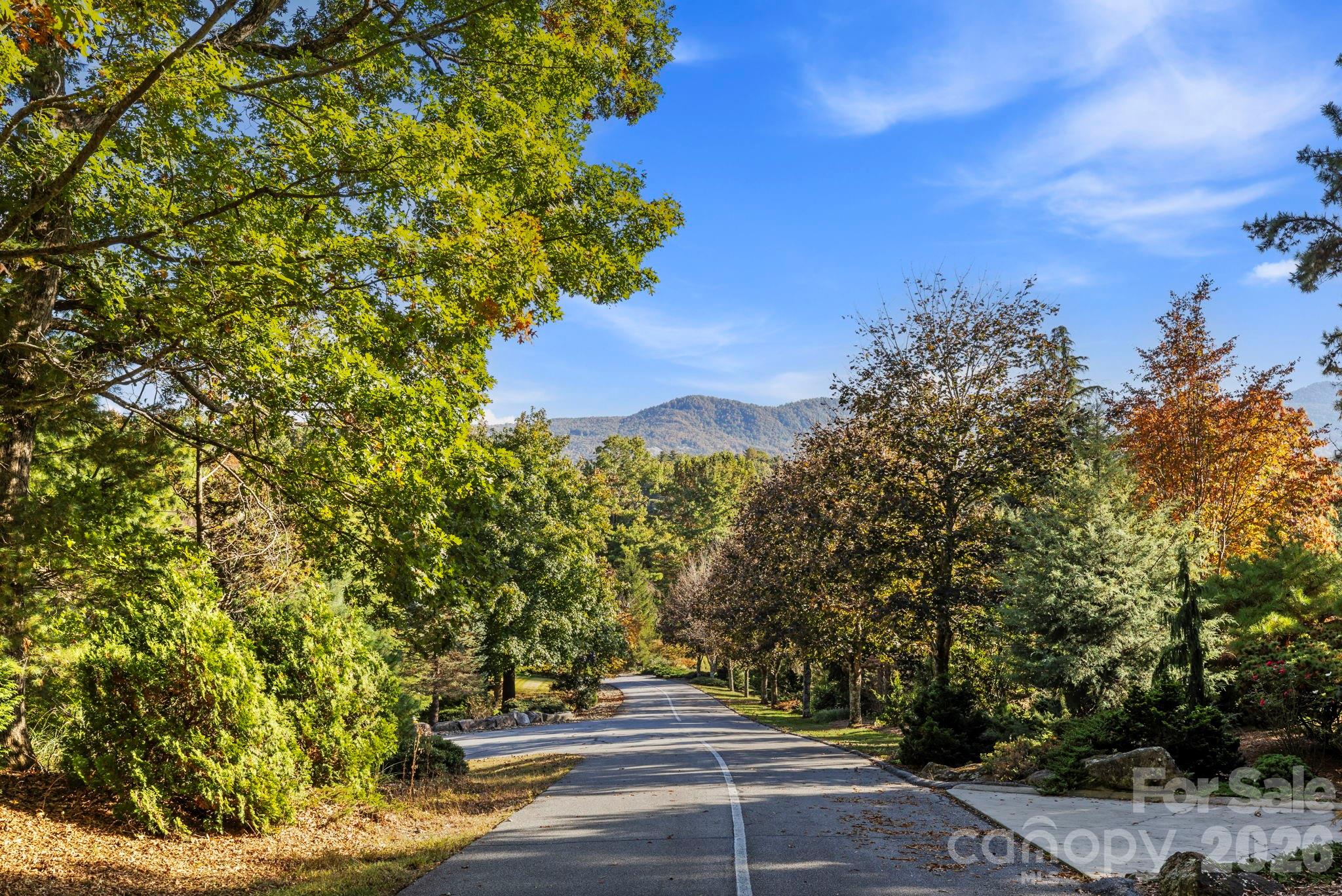 31 Ridge Drive S — Hendersonville