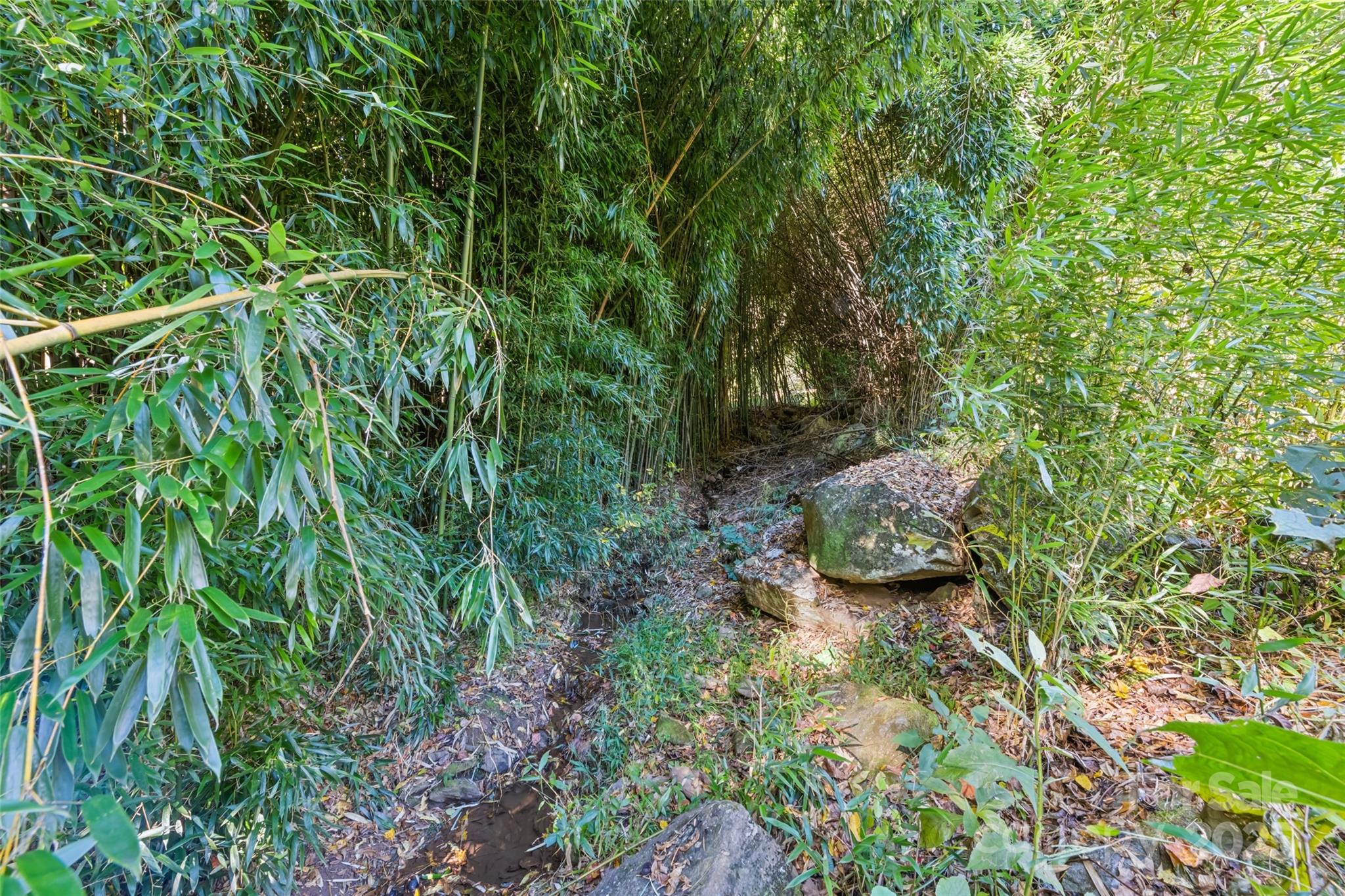 1807 Fisher Creek Road — Sylva