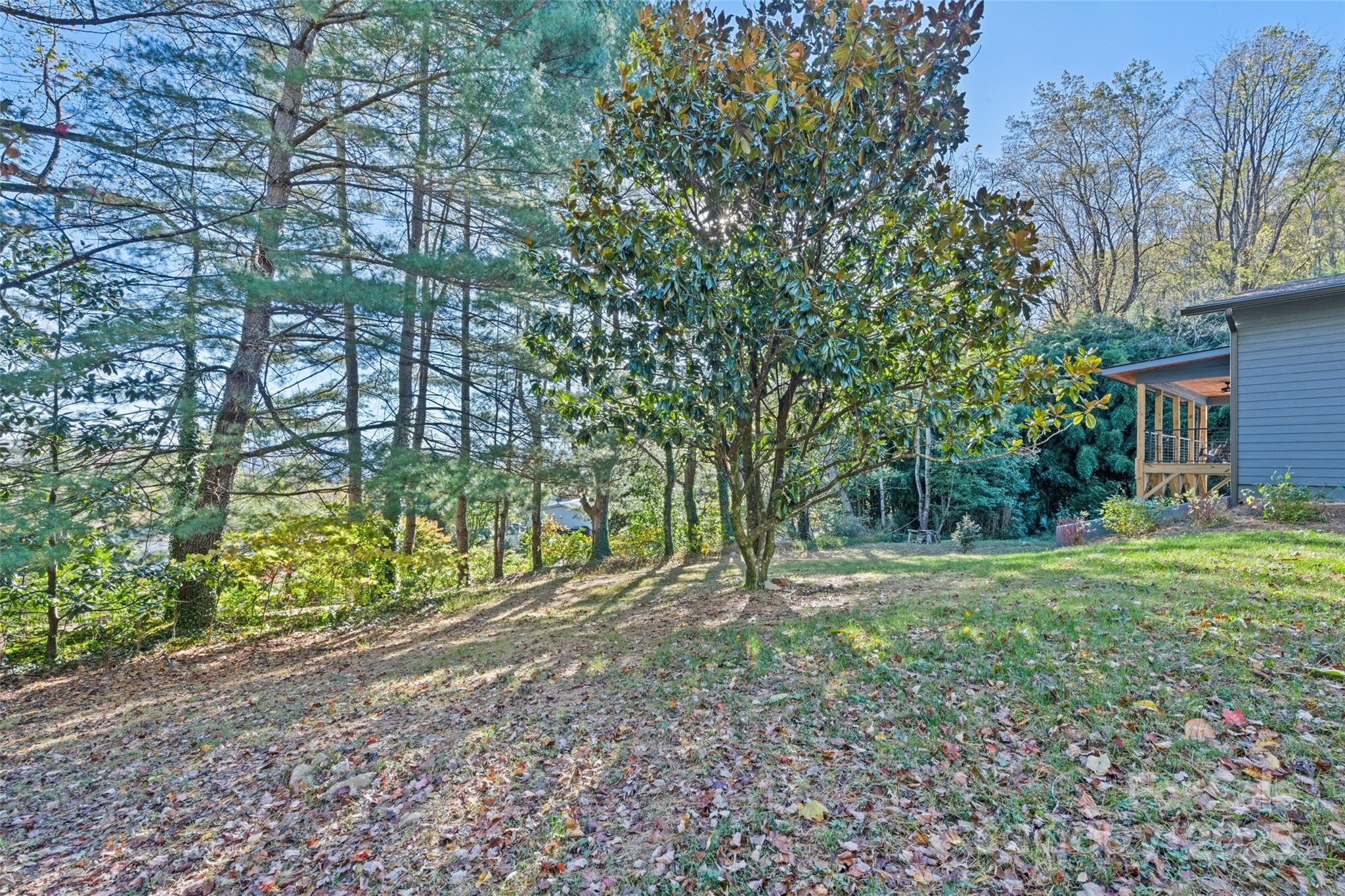 1807 Fisher Creek Road — Sylva