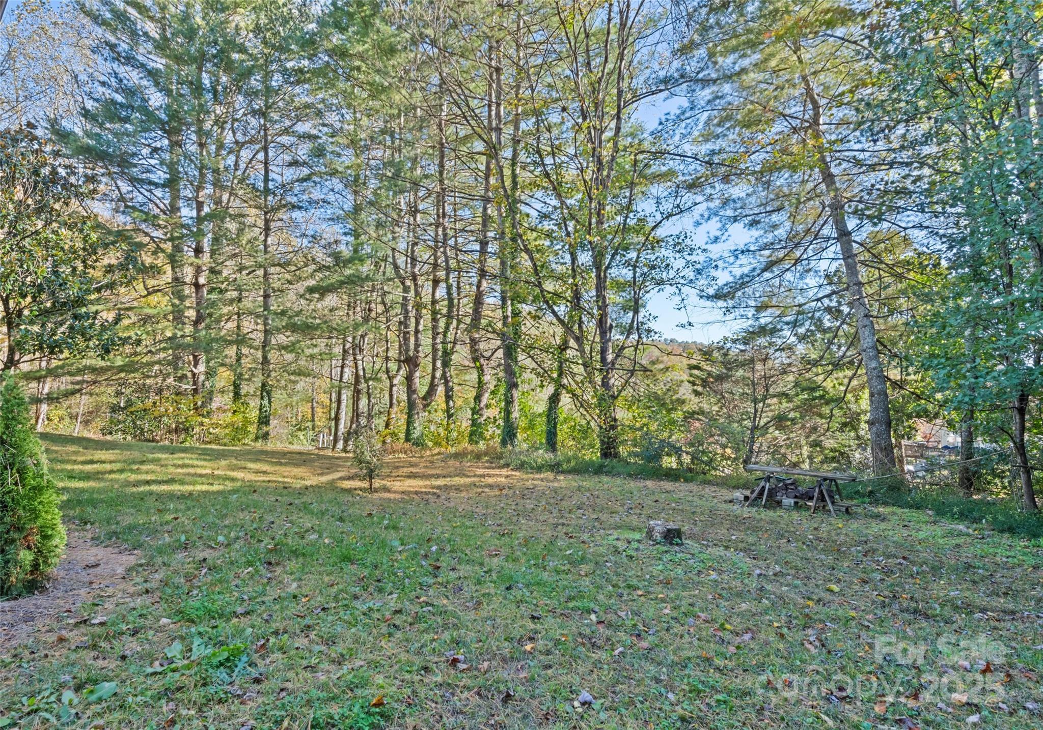 1807 Fisher Creek Road — Sylva