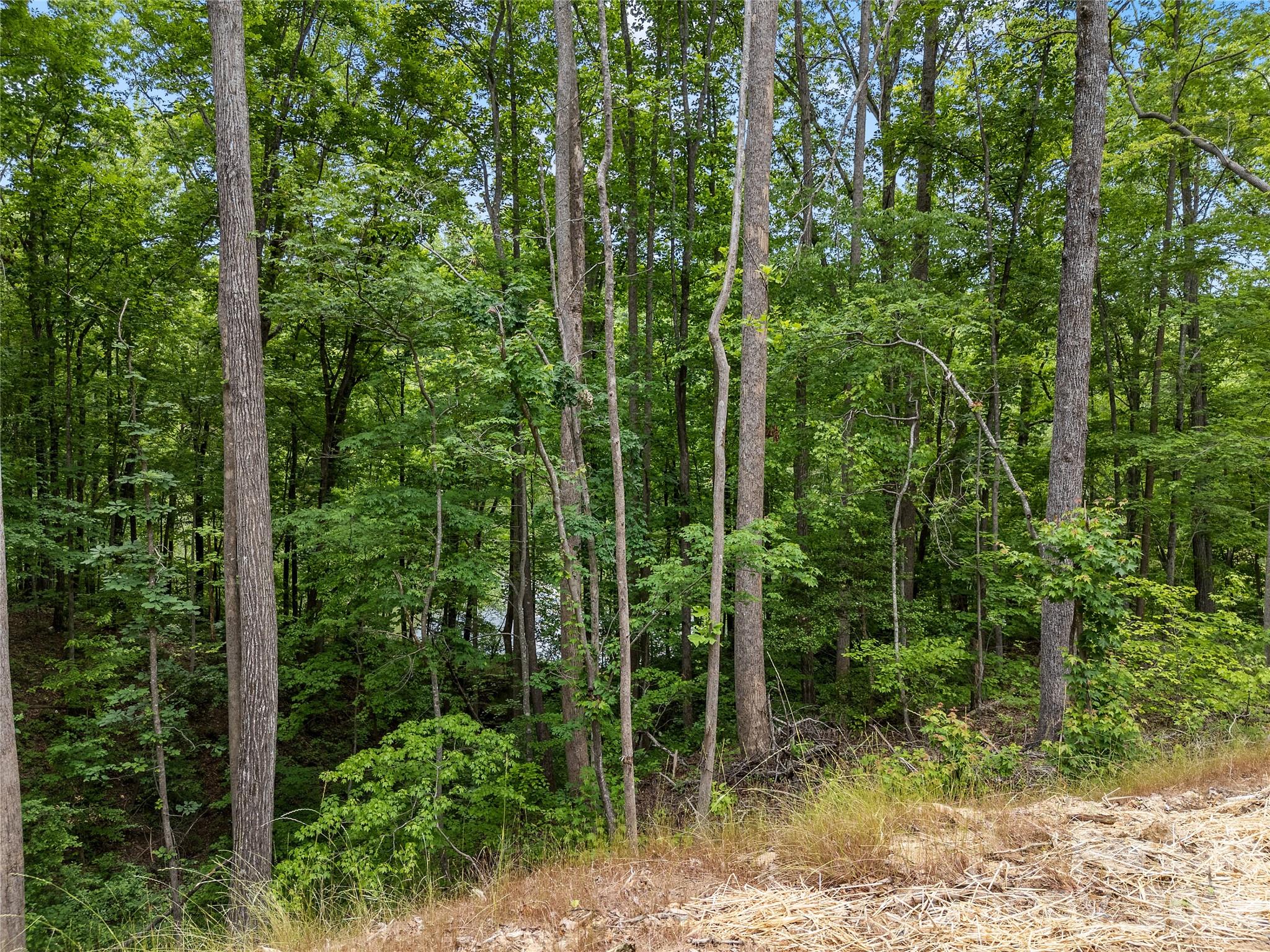 16 Forest Drive — Travelers Rest