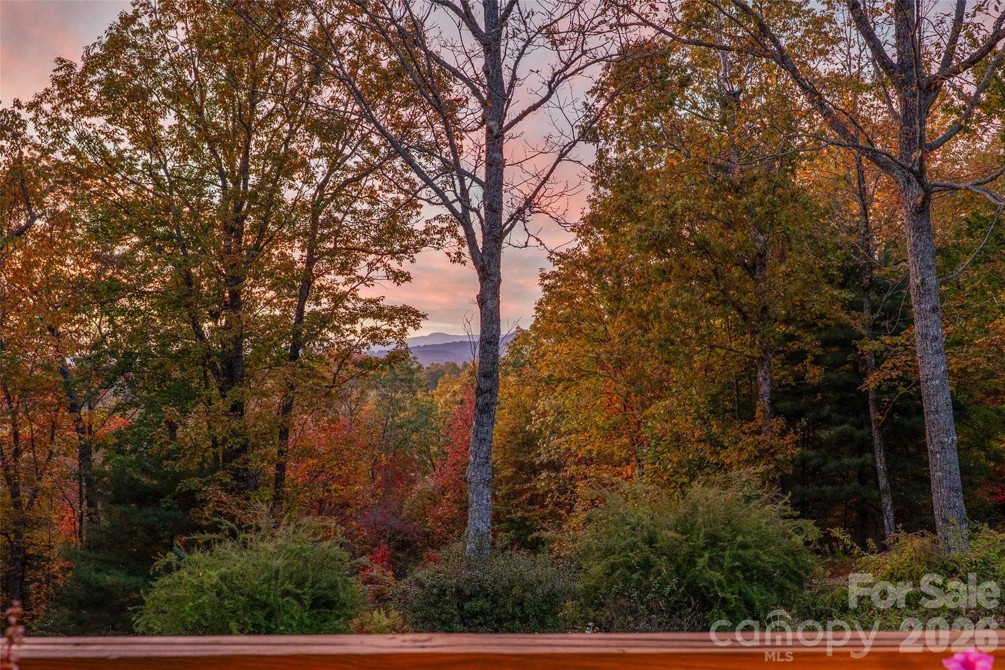 325, 141 & 75 Owl Haven Lane — Cedar Mountain