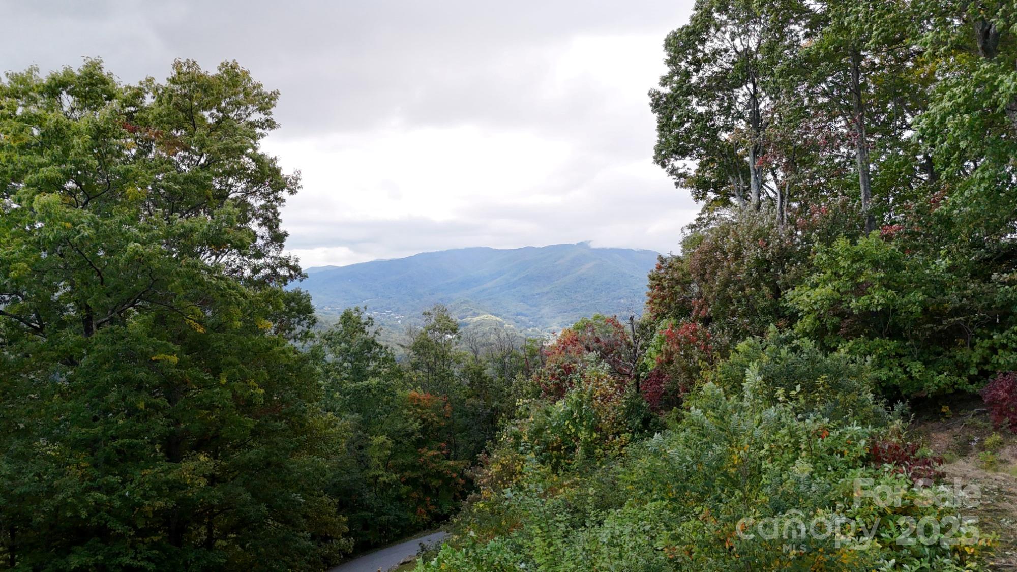 Lot 45 Weatherwatch Lane — Waynesville
