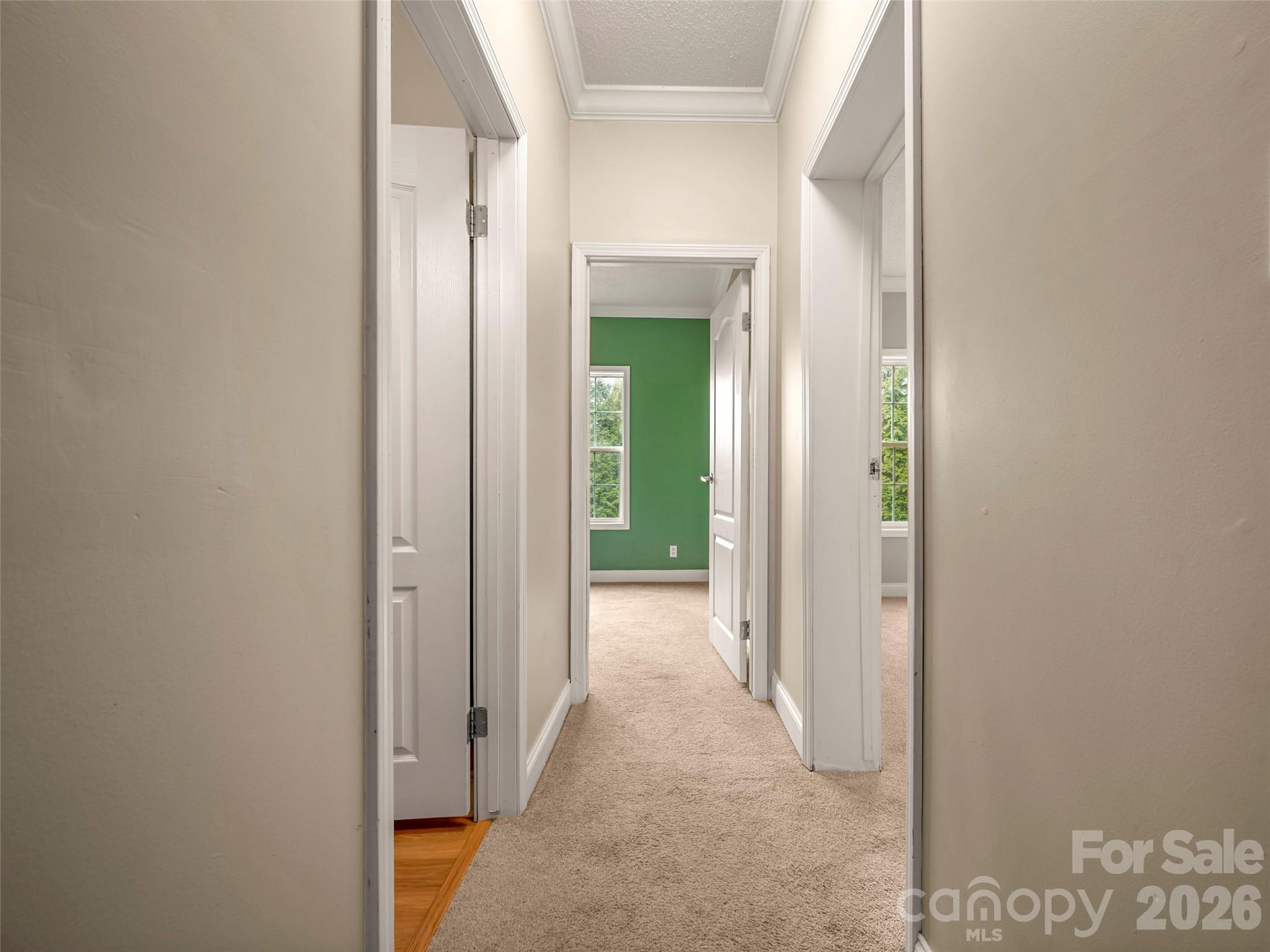 97 Meadowview Drive — Saluda