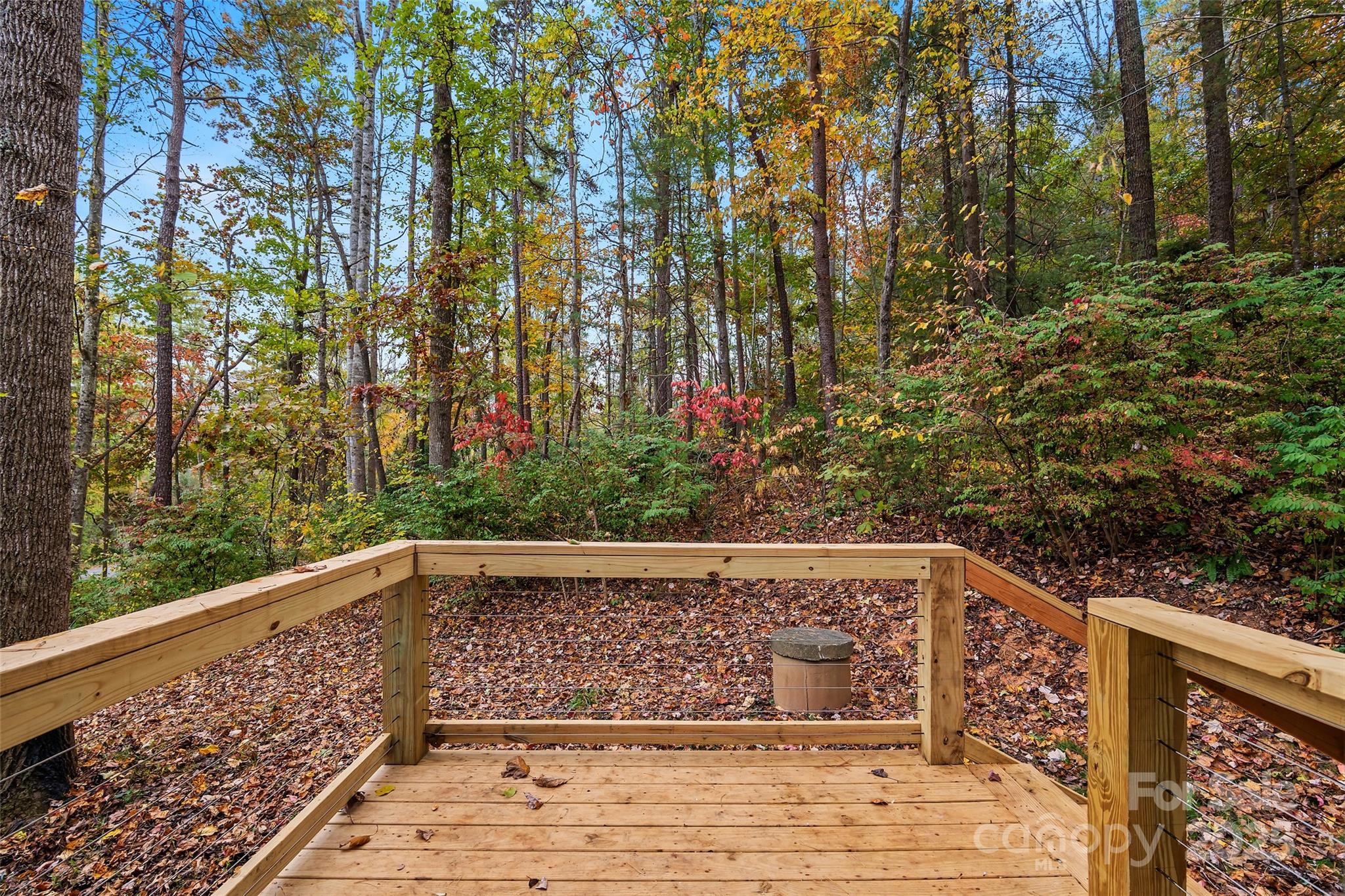 201 Cedarview Drive — Asheville