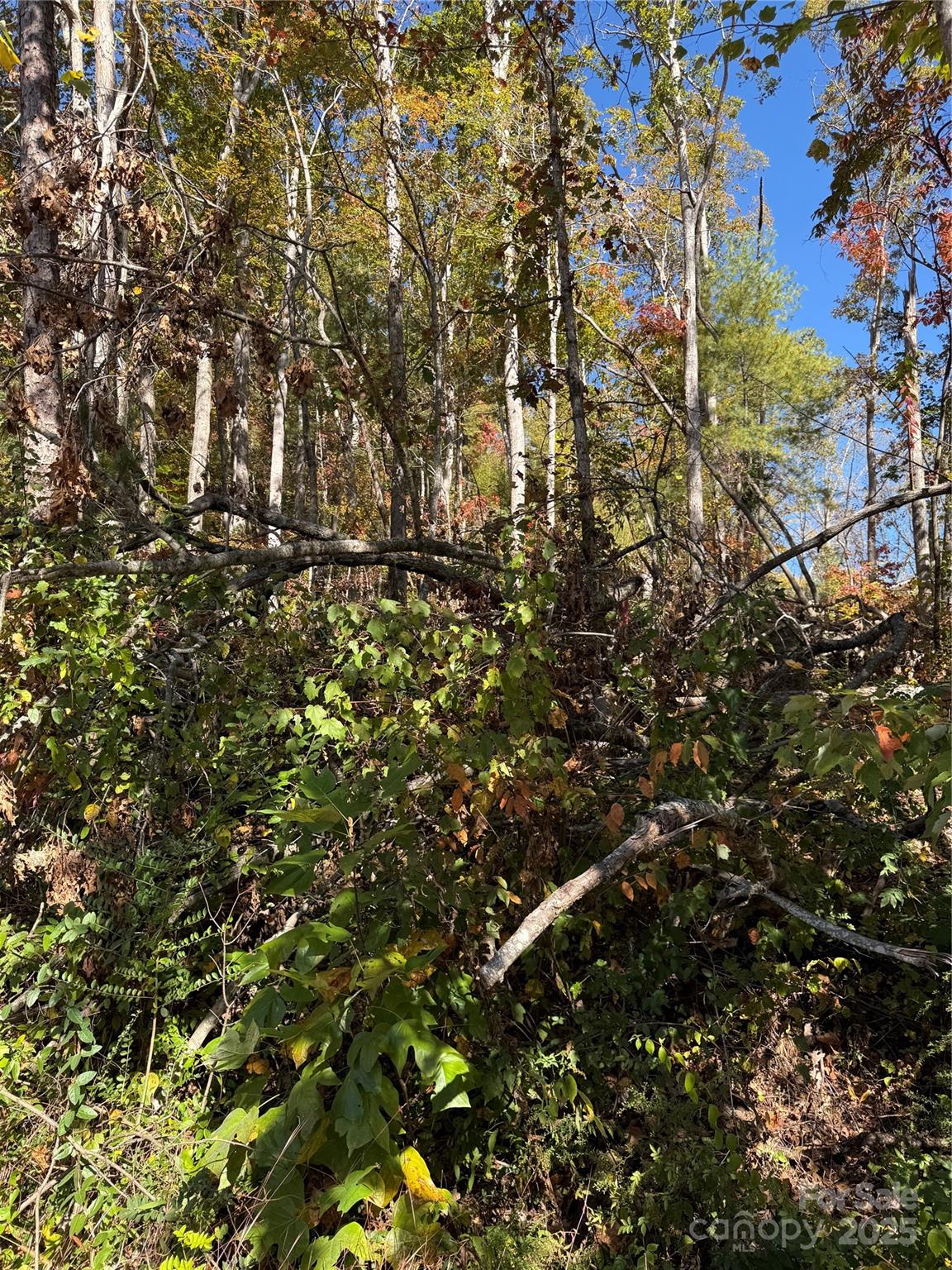 202 Lyndhurst Drive — Hendersonville