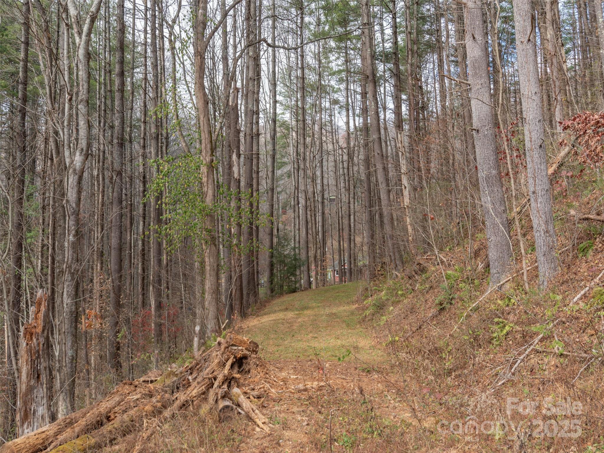 11 Freshwater Cove — Maggie Valley