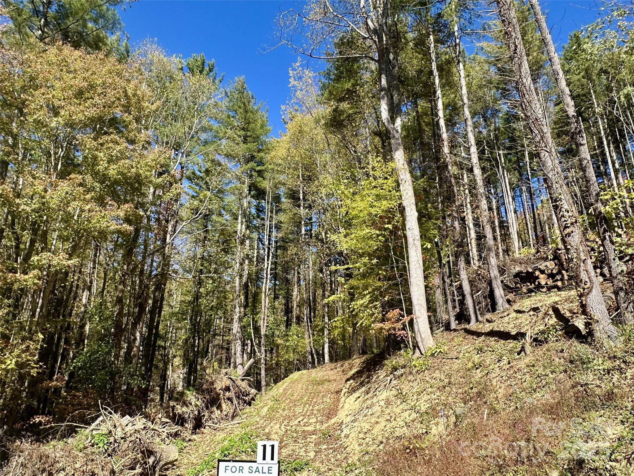 11 Freshwater Cove — Maggie Valley