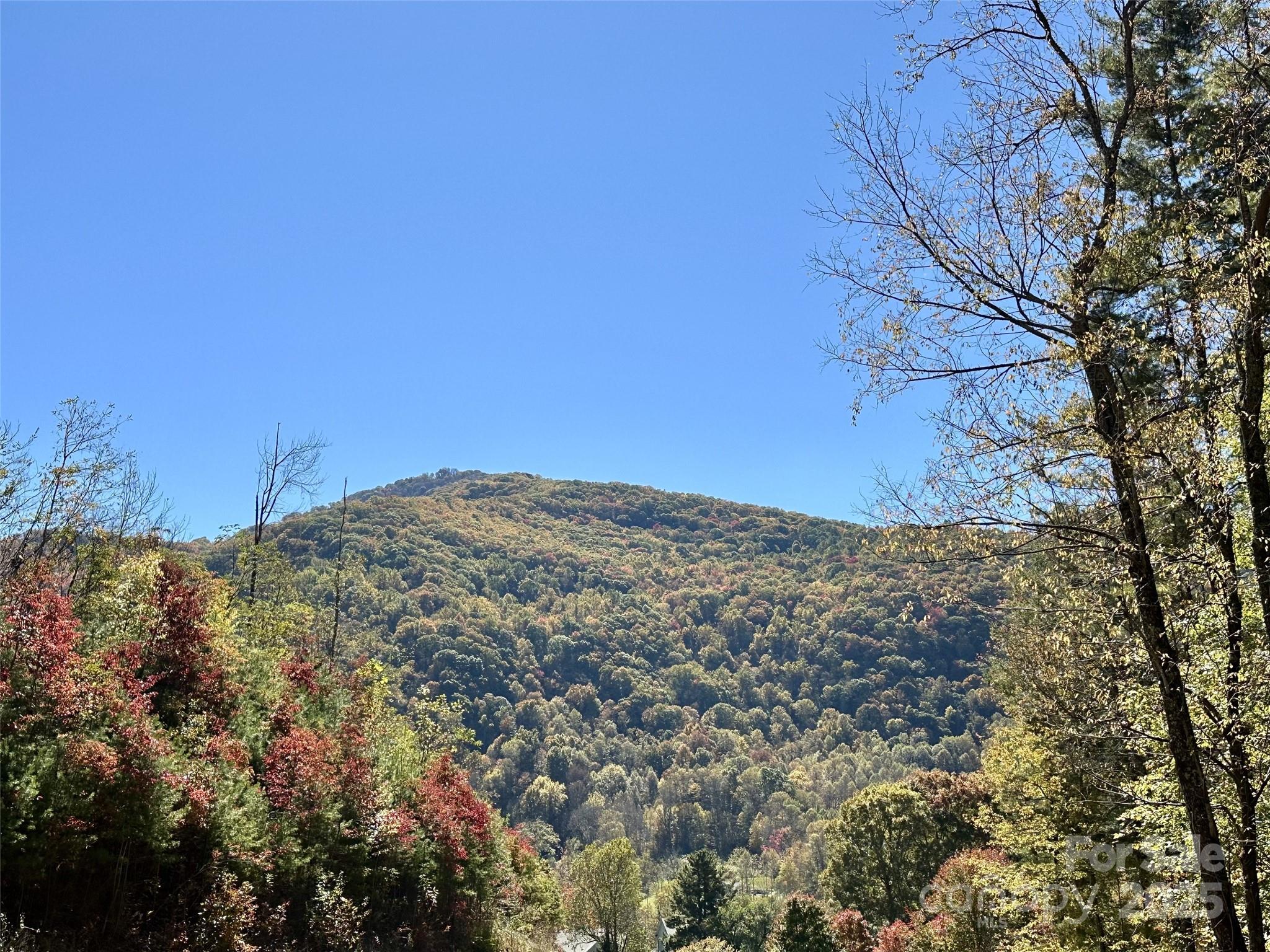 11 Freshwater Cove — Maggie Valley