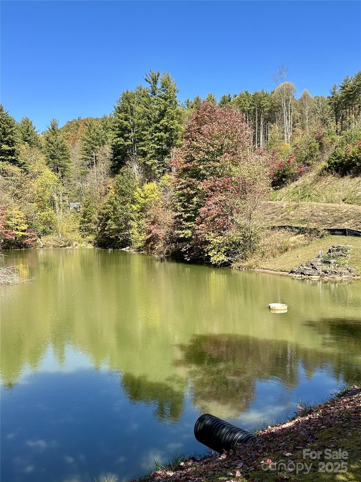 11 Freshwater Cove — Maggie Valley