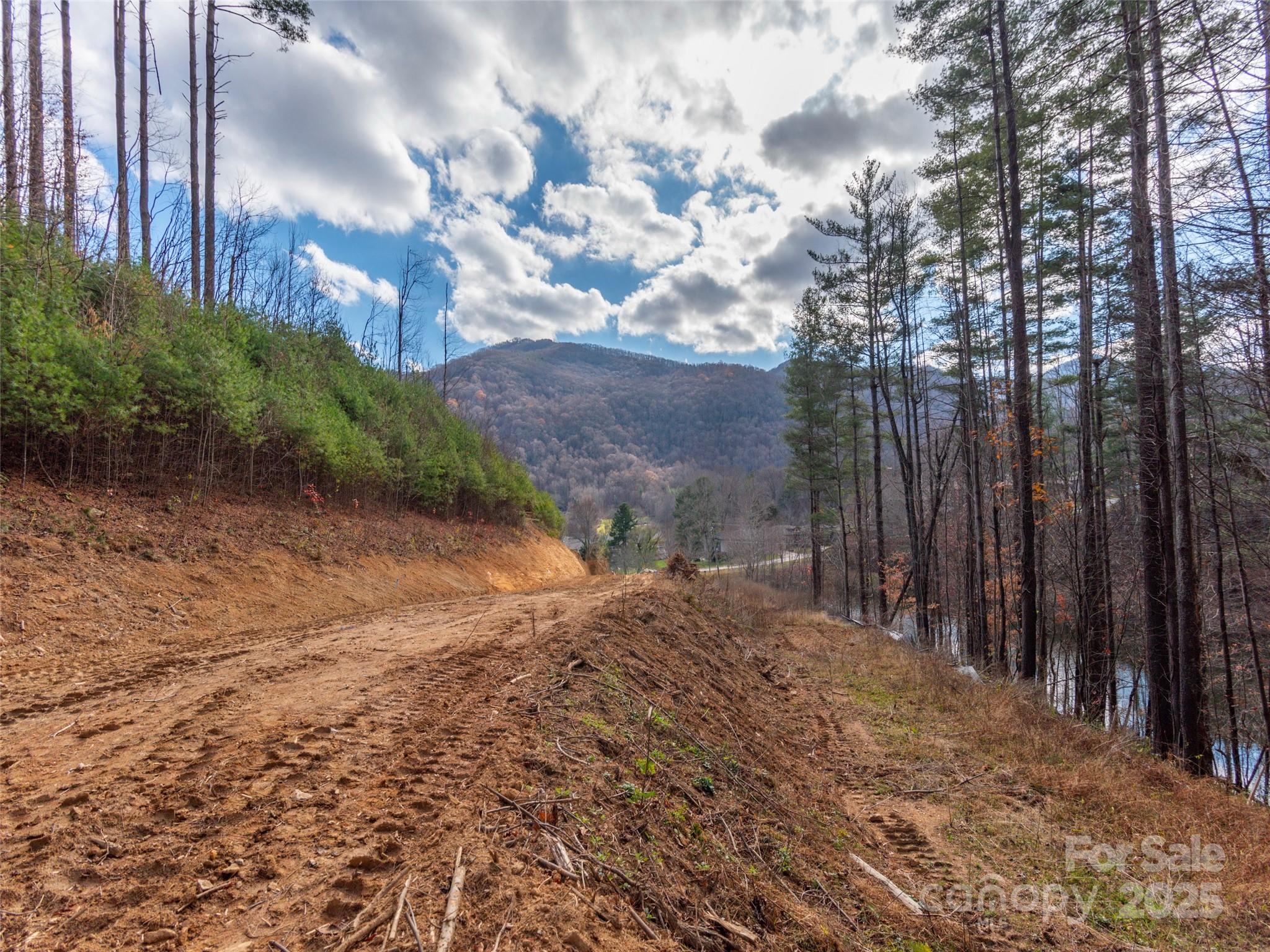 11 Freshwater Cove — Maggie Valley