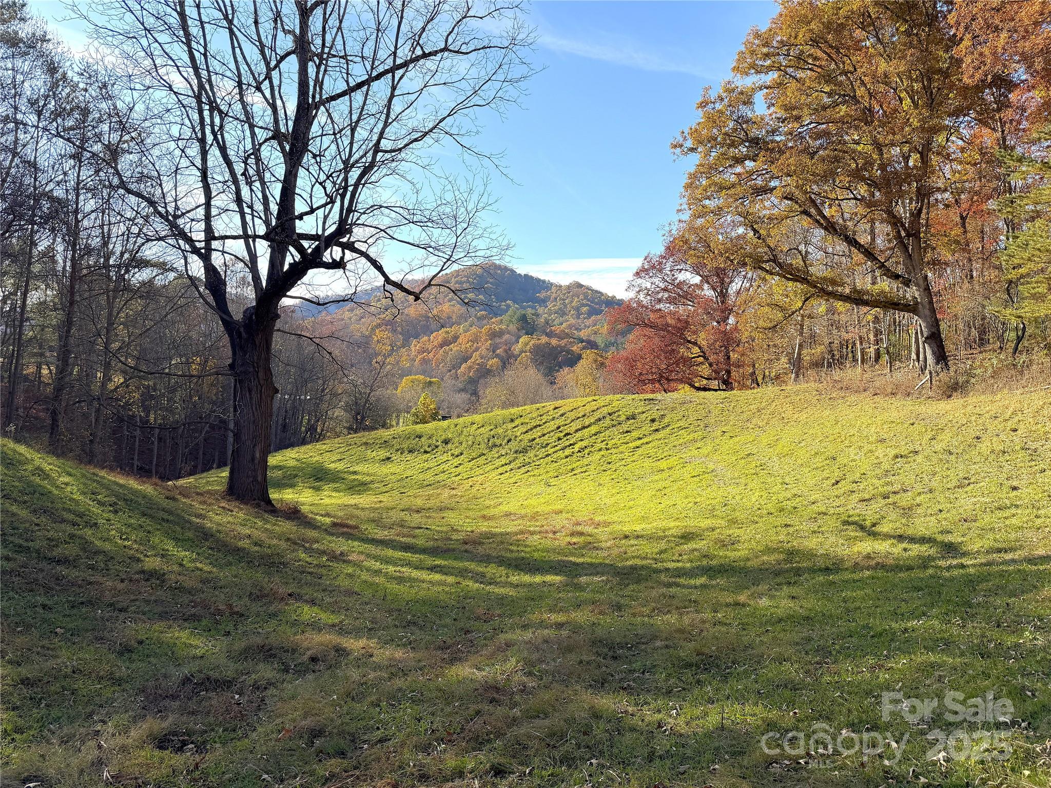 99 Thistle Ridge — Canton