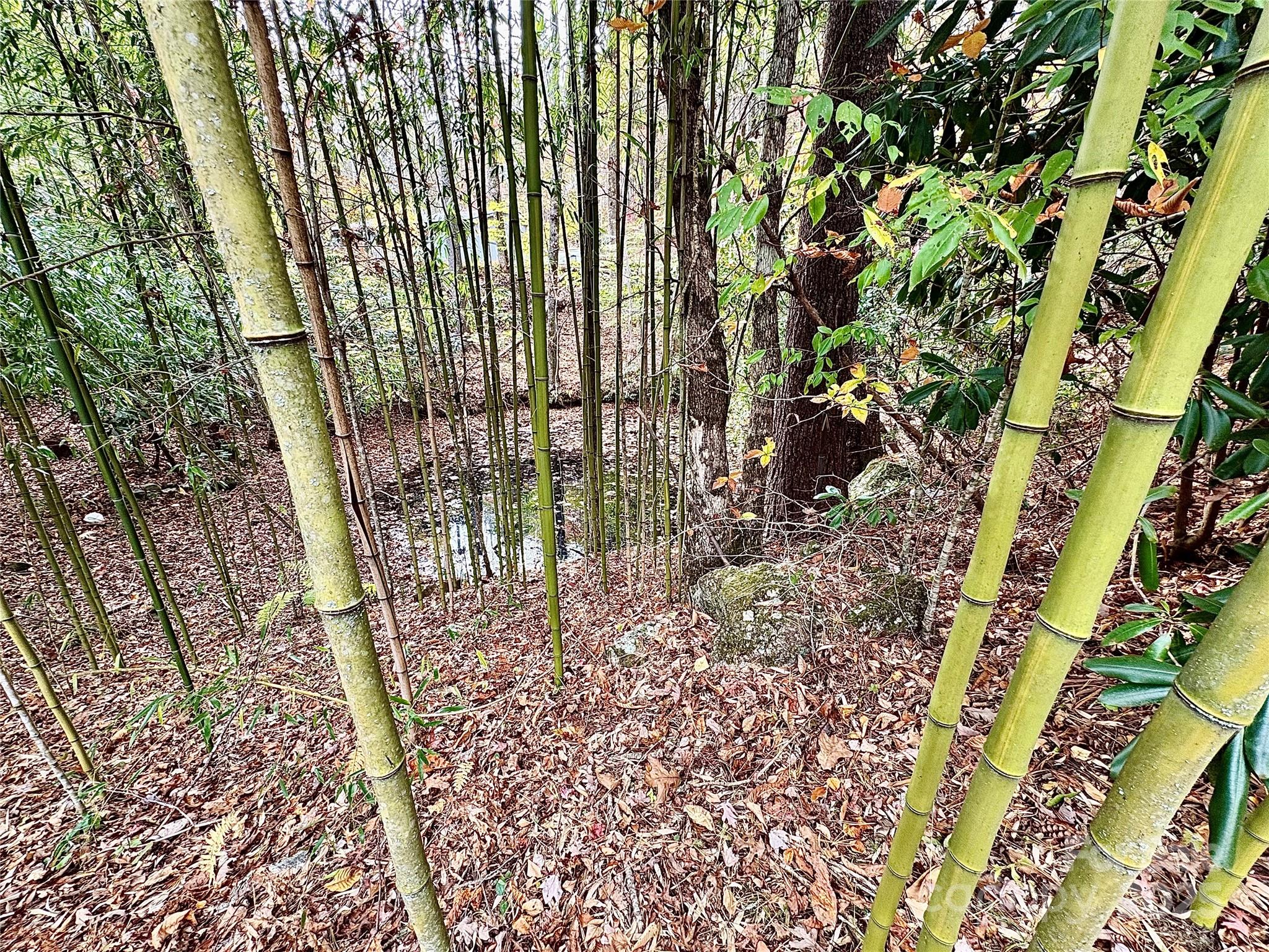 875 Carson Creek Road — Brevard