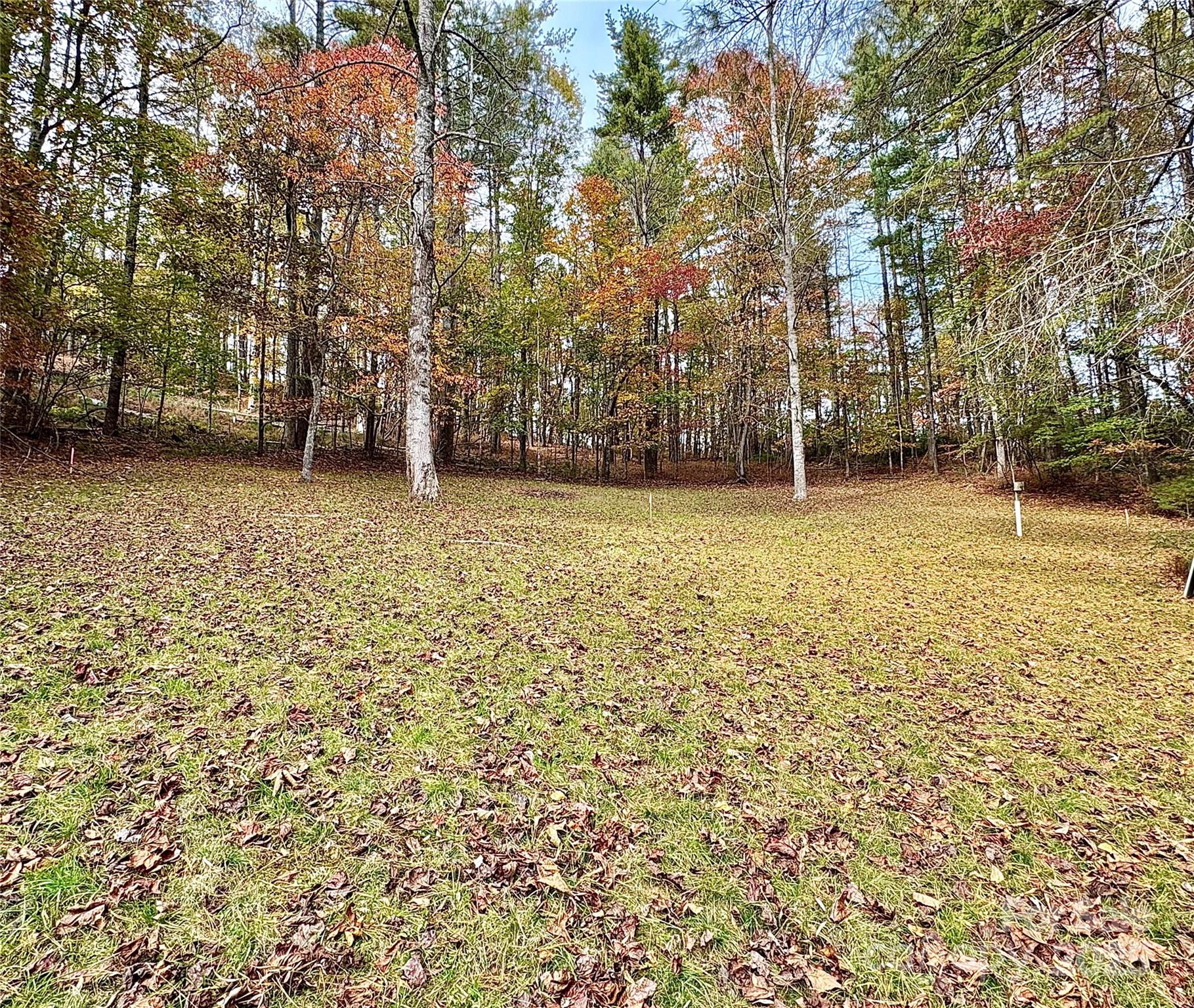 875 Carson Creek Road — Brevard