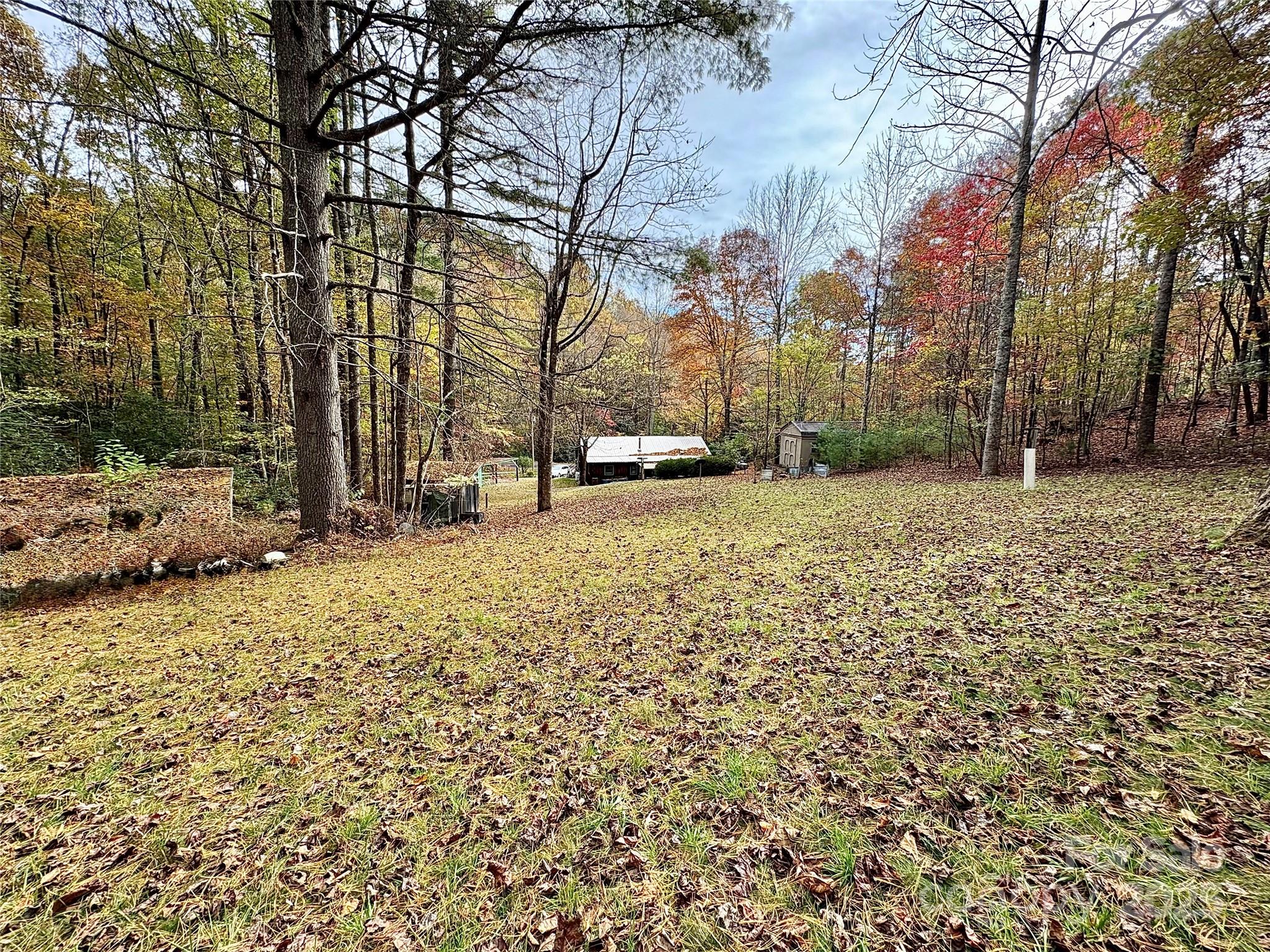 875 Carson Creek Road — Brevard