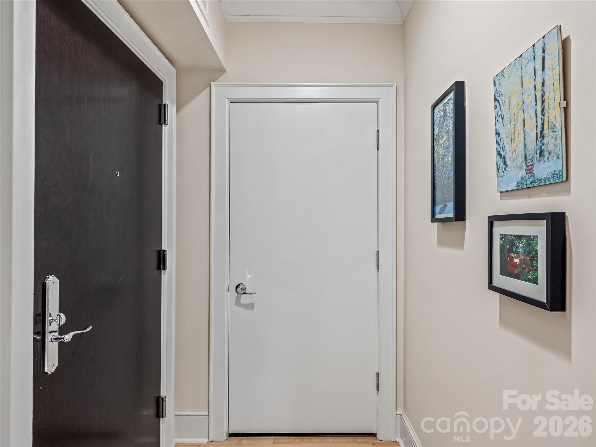 21 Battery Park Avenue #308 — Asheville