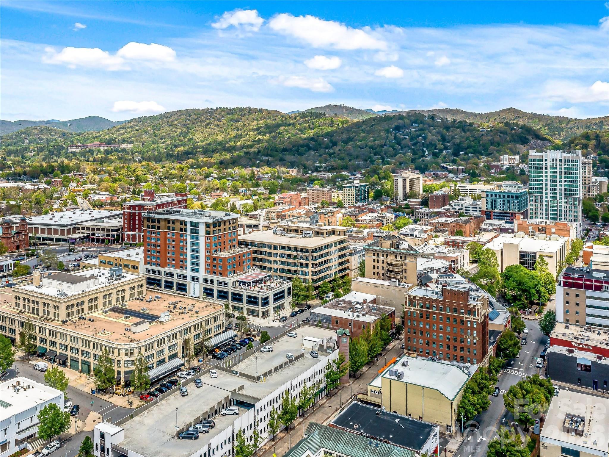 21 Battery Park Avenue #308 — Asheville