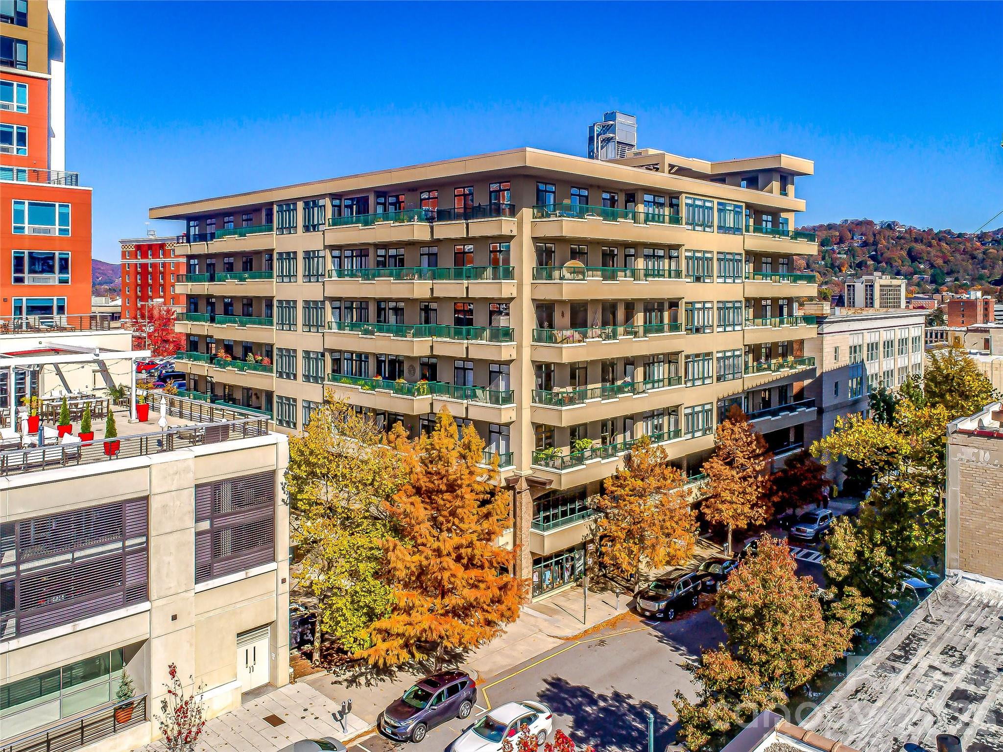 21 Battery Park Avenue #308 — Asheville