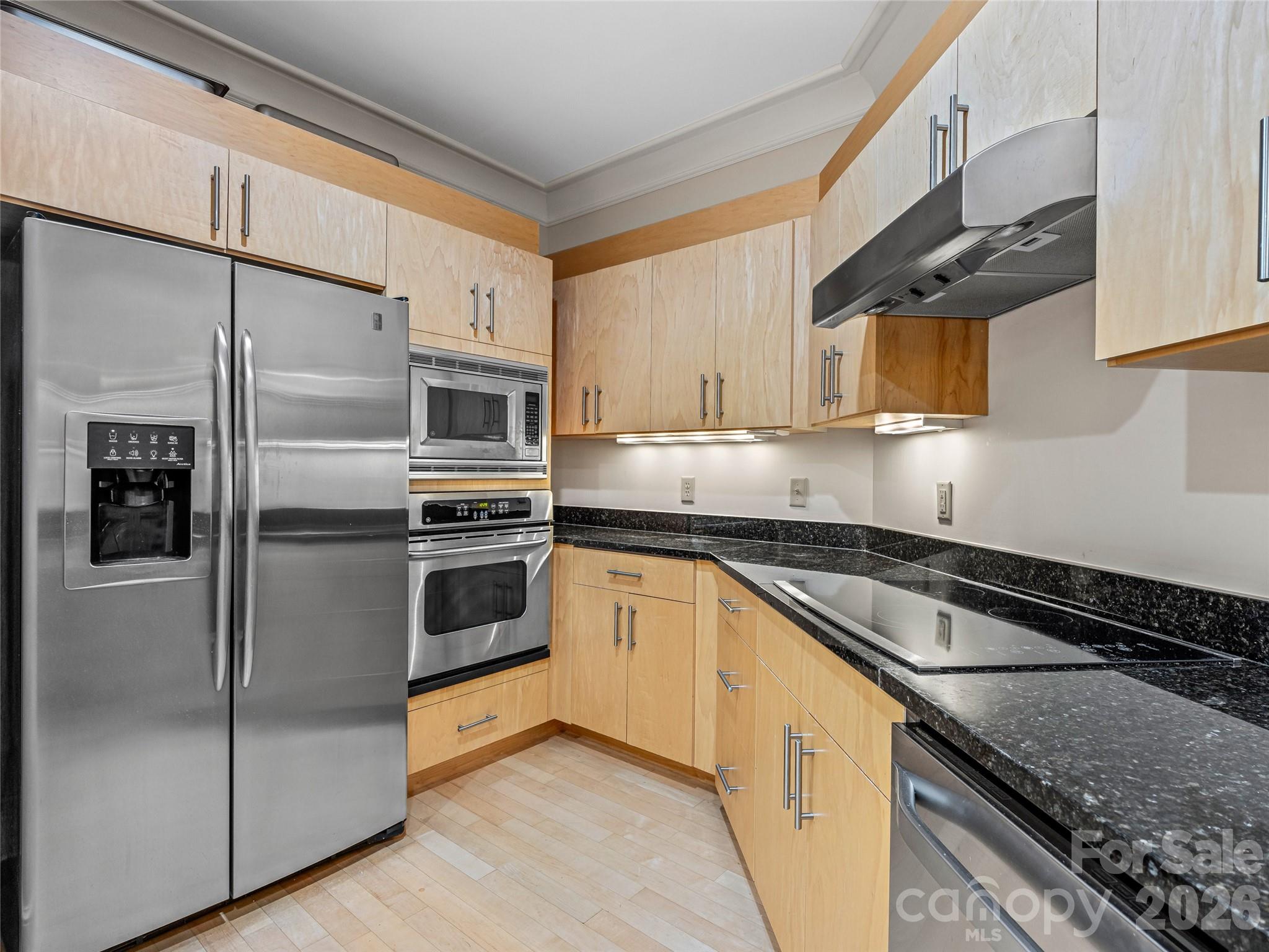 21 Battery Park Avenue #308 — Asheville