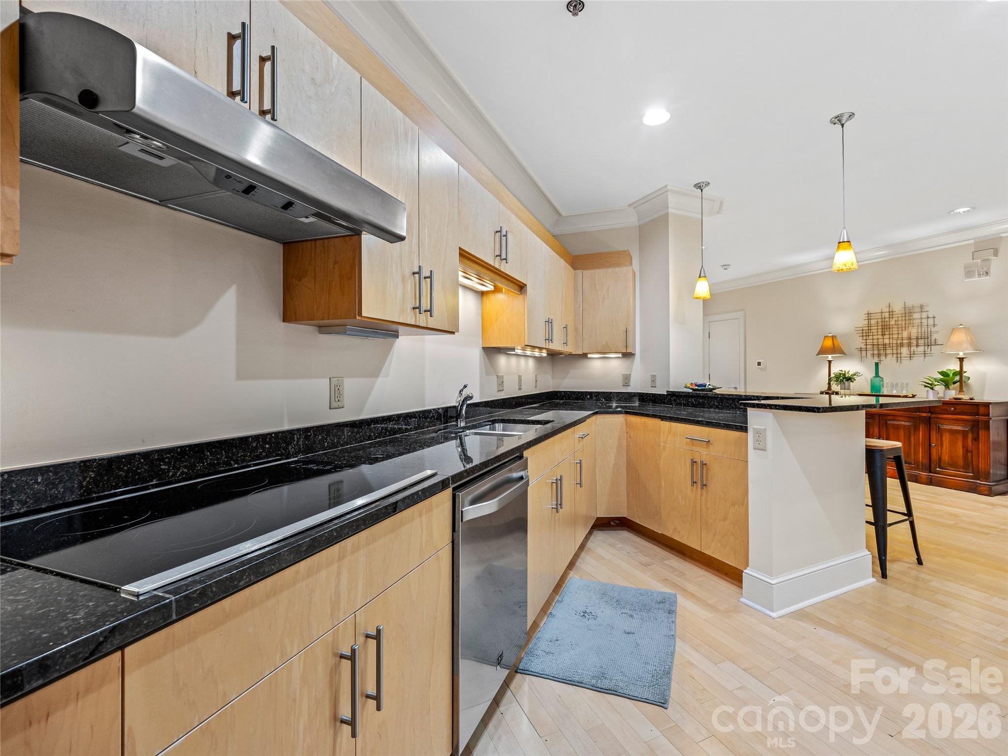 21 Battery Park Avenue #308 — Asheville
