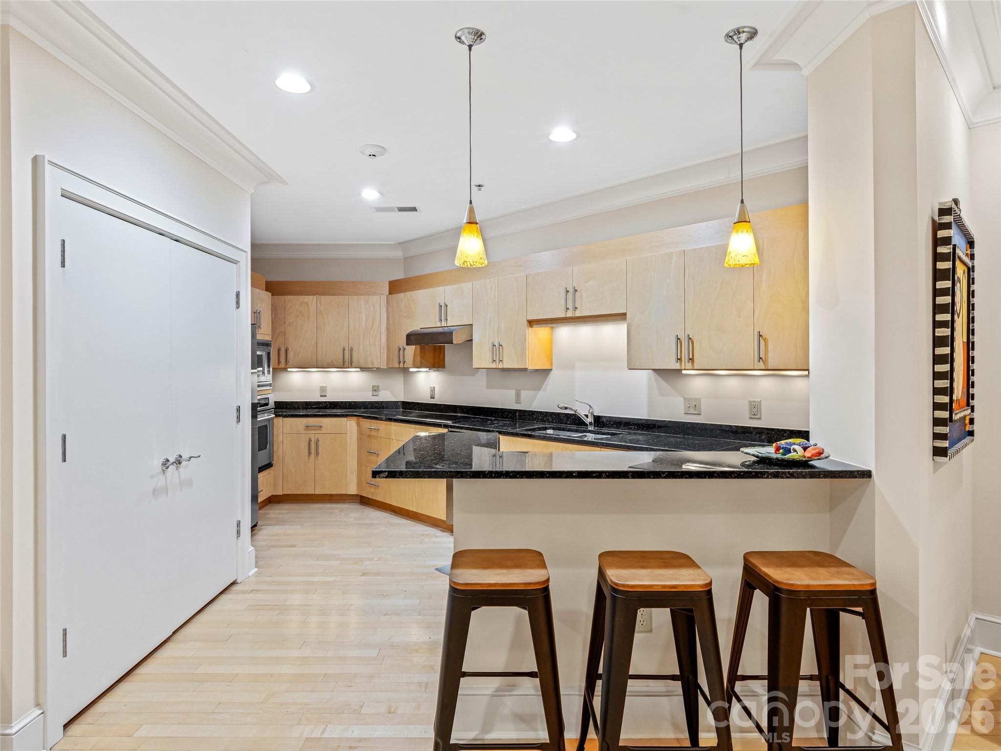 21 Battery Park Avenue #308 — Asheville