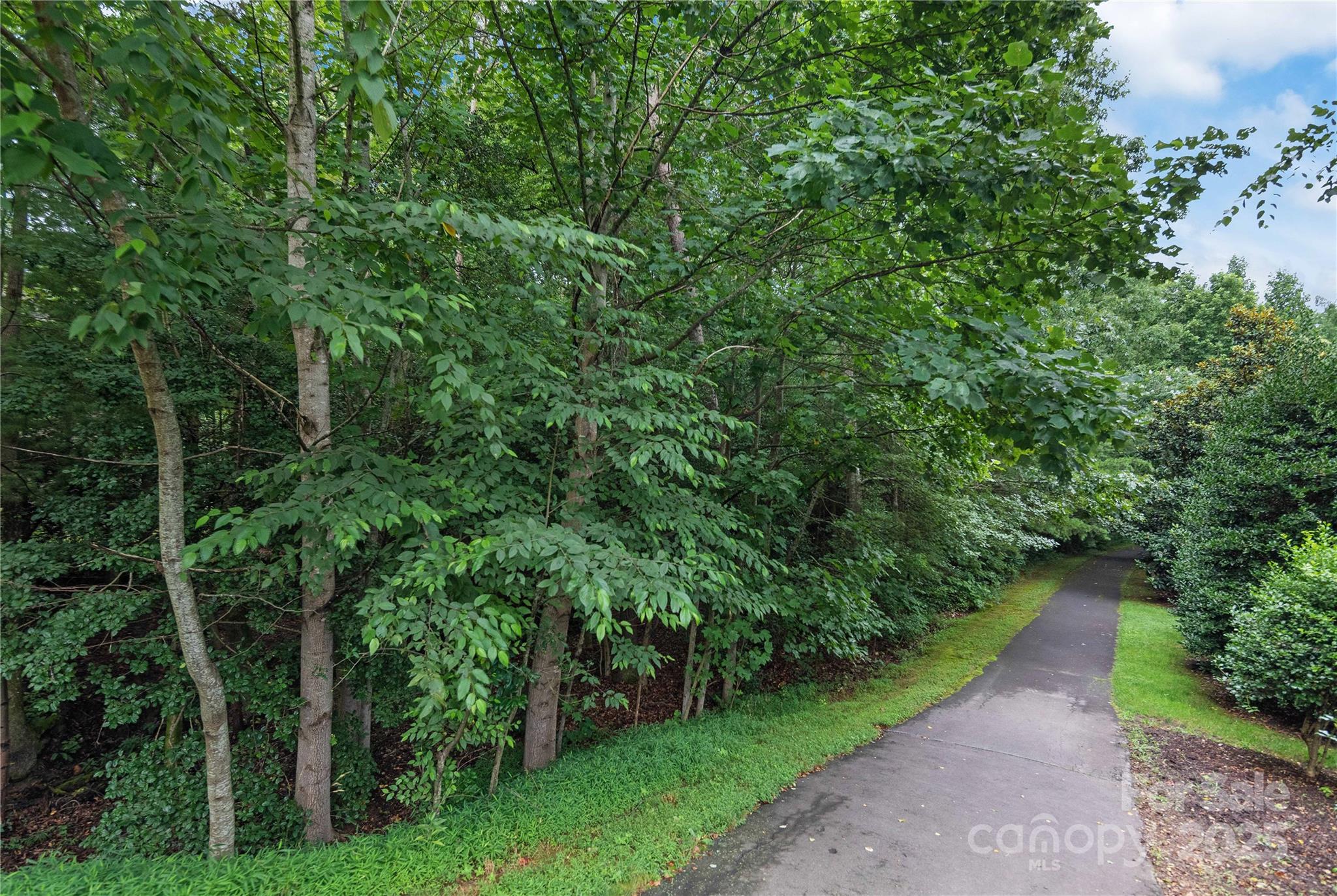 5 Farleigh Street #203 — Asheville