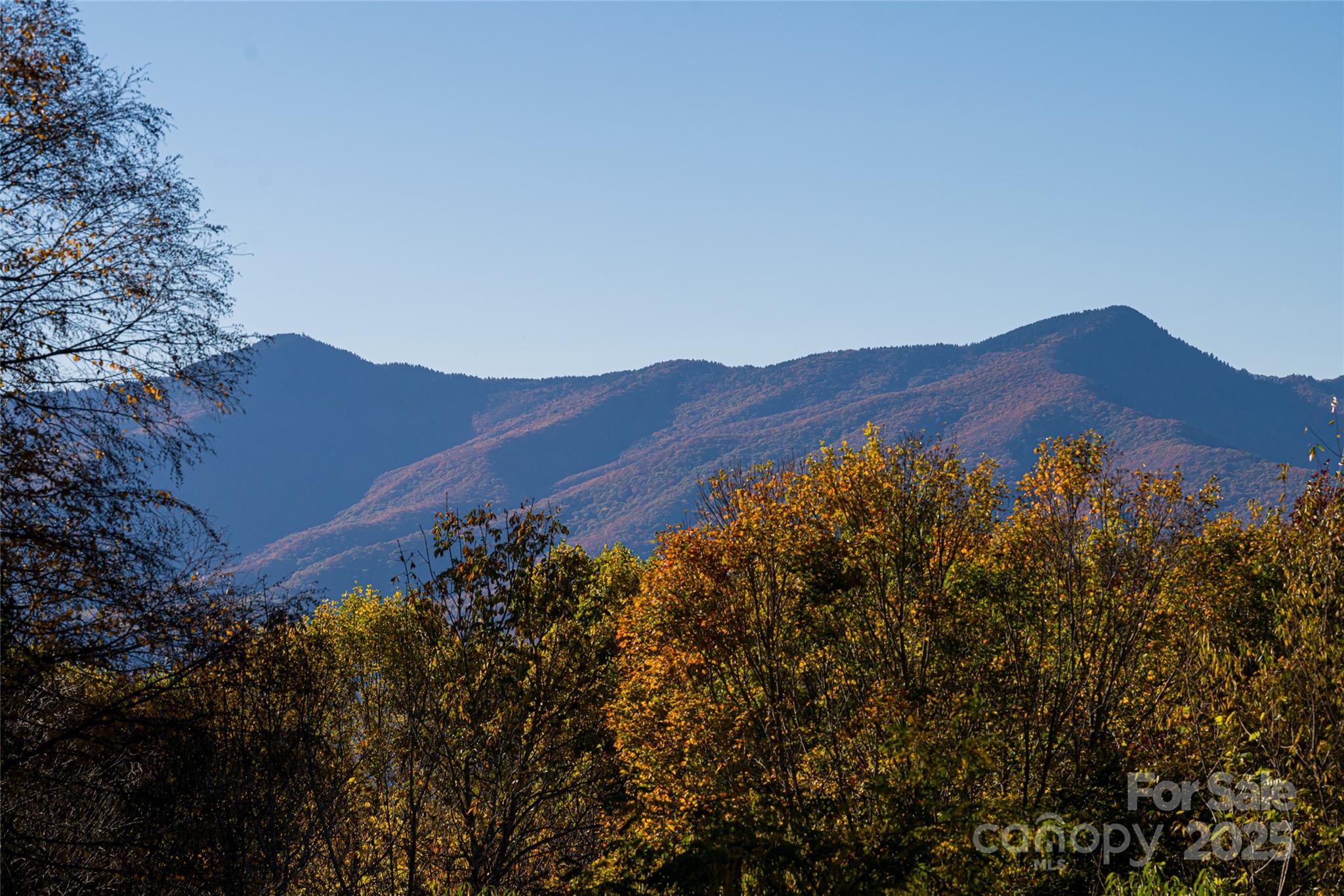 154 Presidential Drive — Waynesville