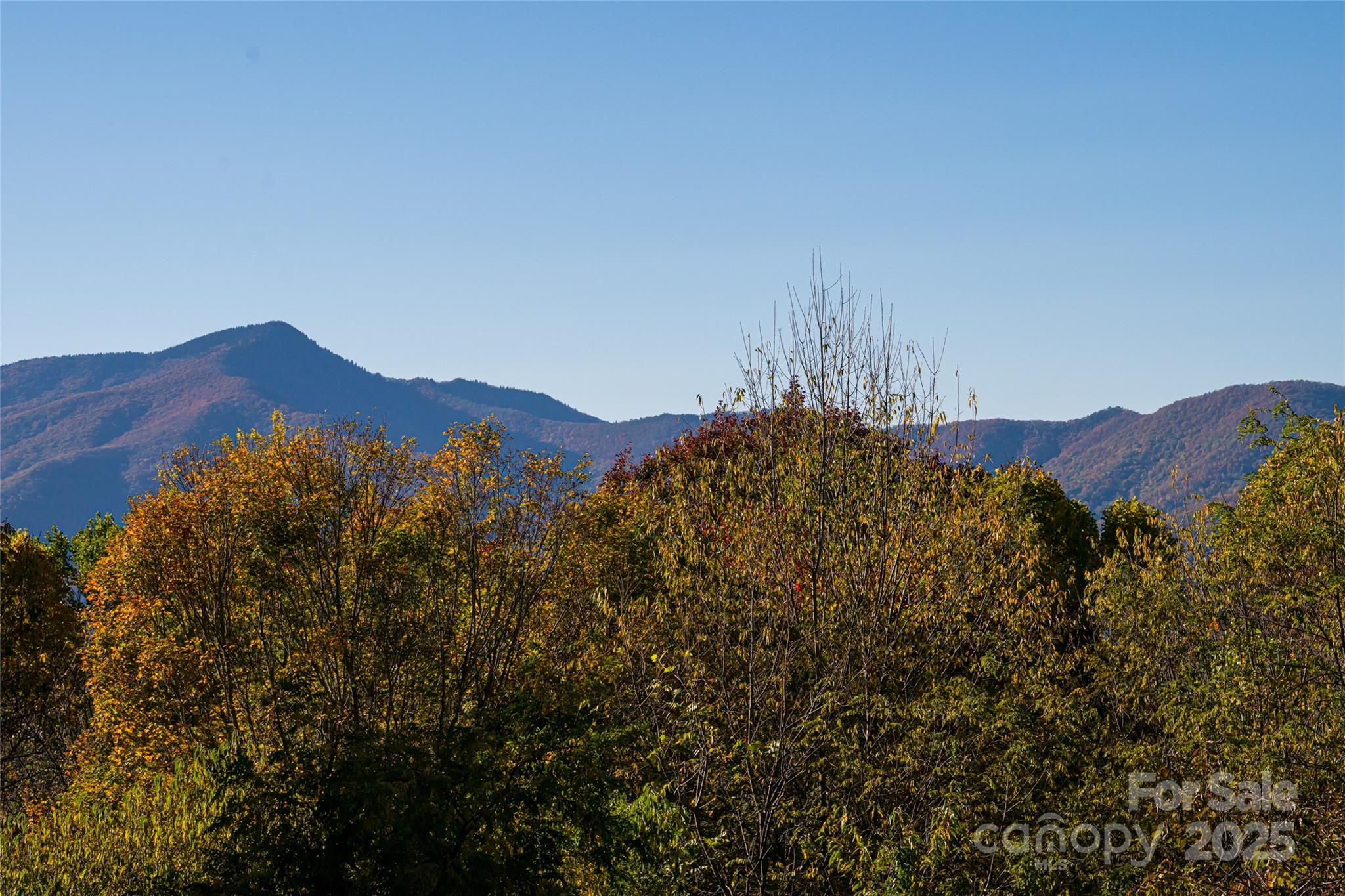 154 Presidential Drive — Waynesville