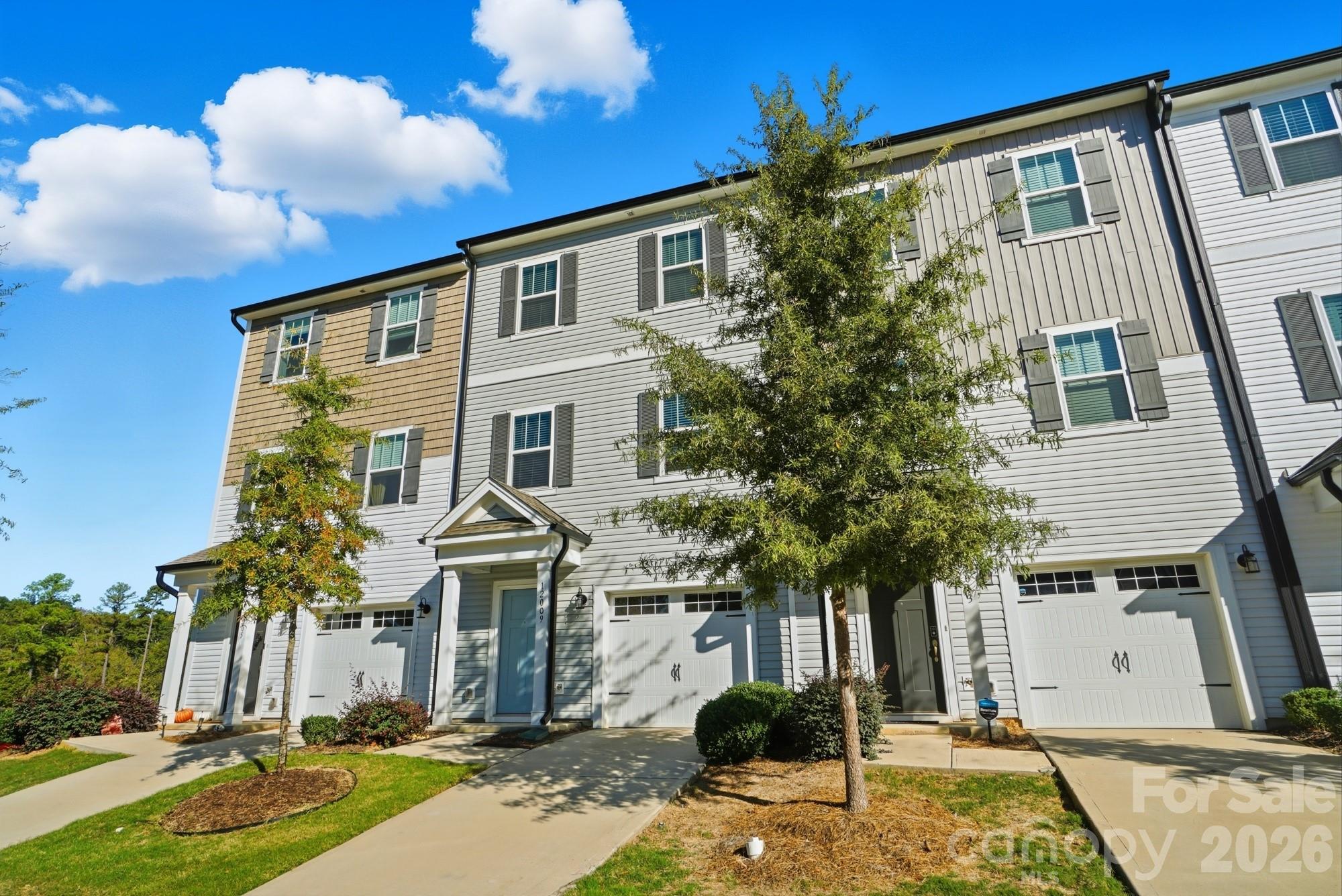 12009 Chesapeake Mallard Drive — Charlotte