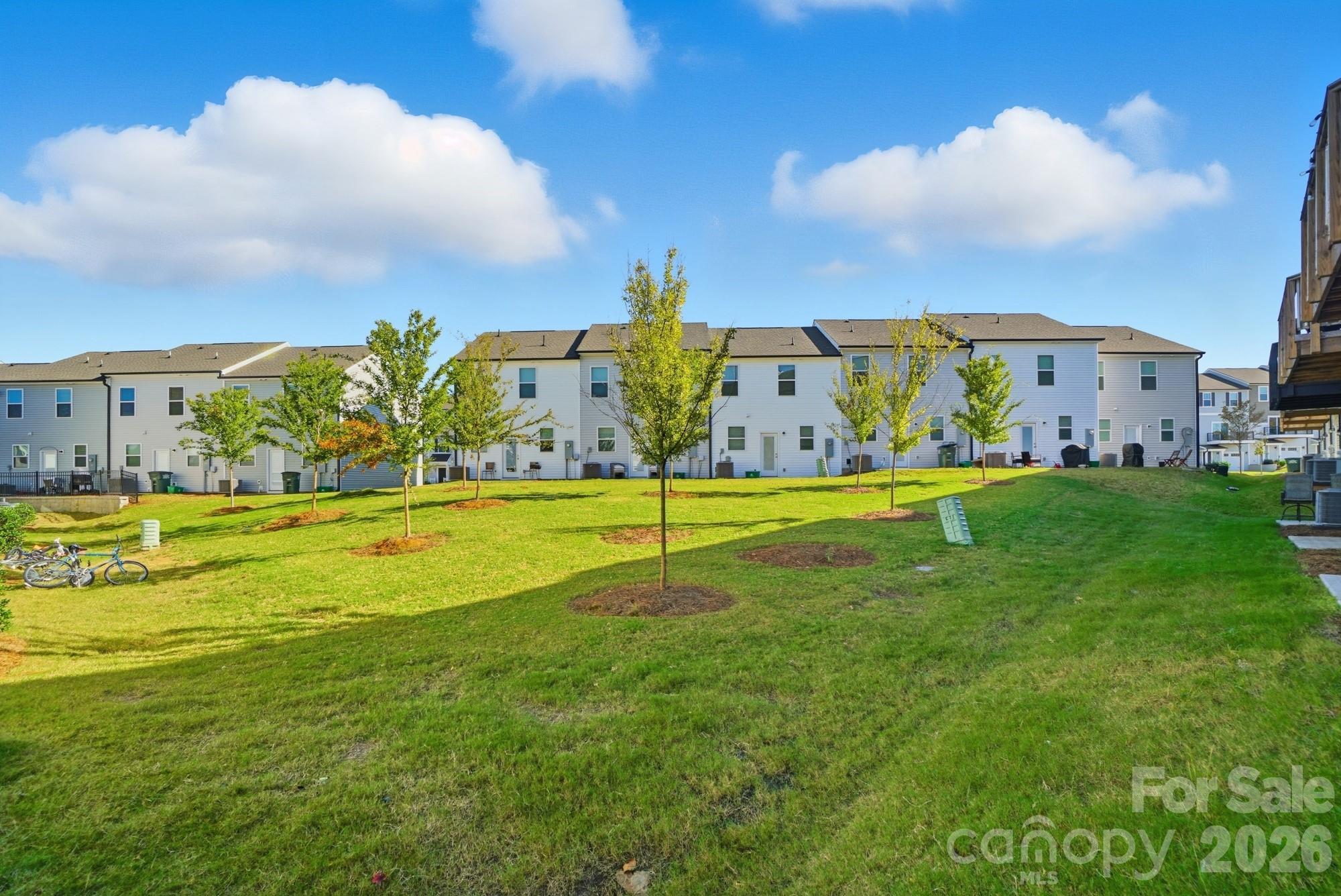12009 Chesapeake Mallard Drive — Charlotte