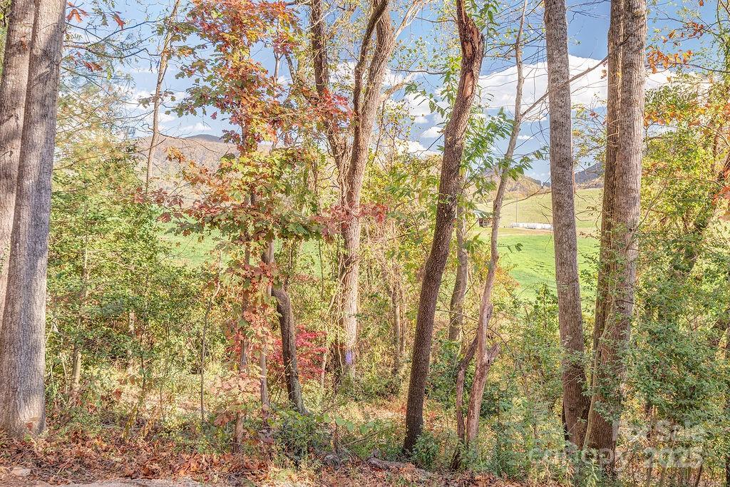15 Edmond Woods Place — Fairview
