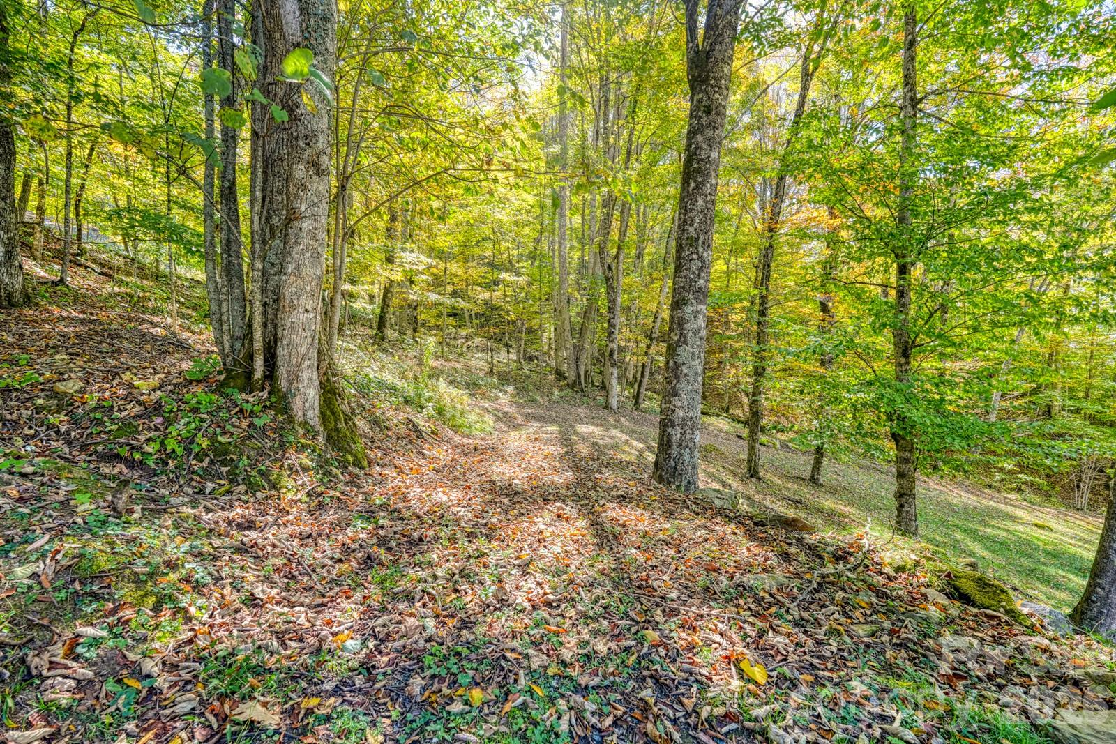 1495 El Miner Drive — Mars Hill