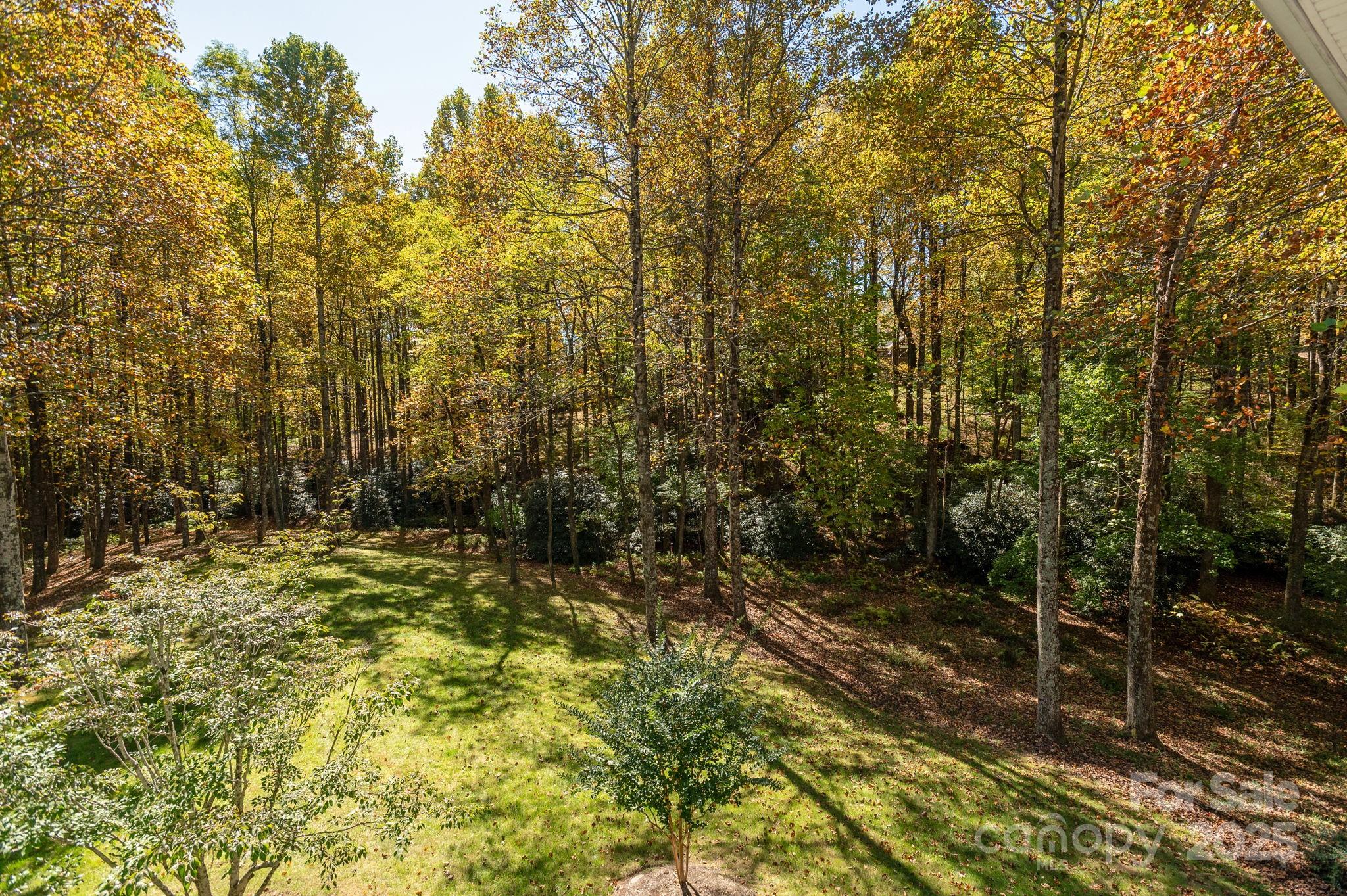 115 Chancery Court — Flat Rock