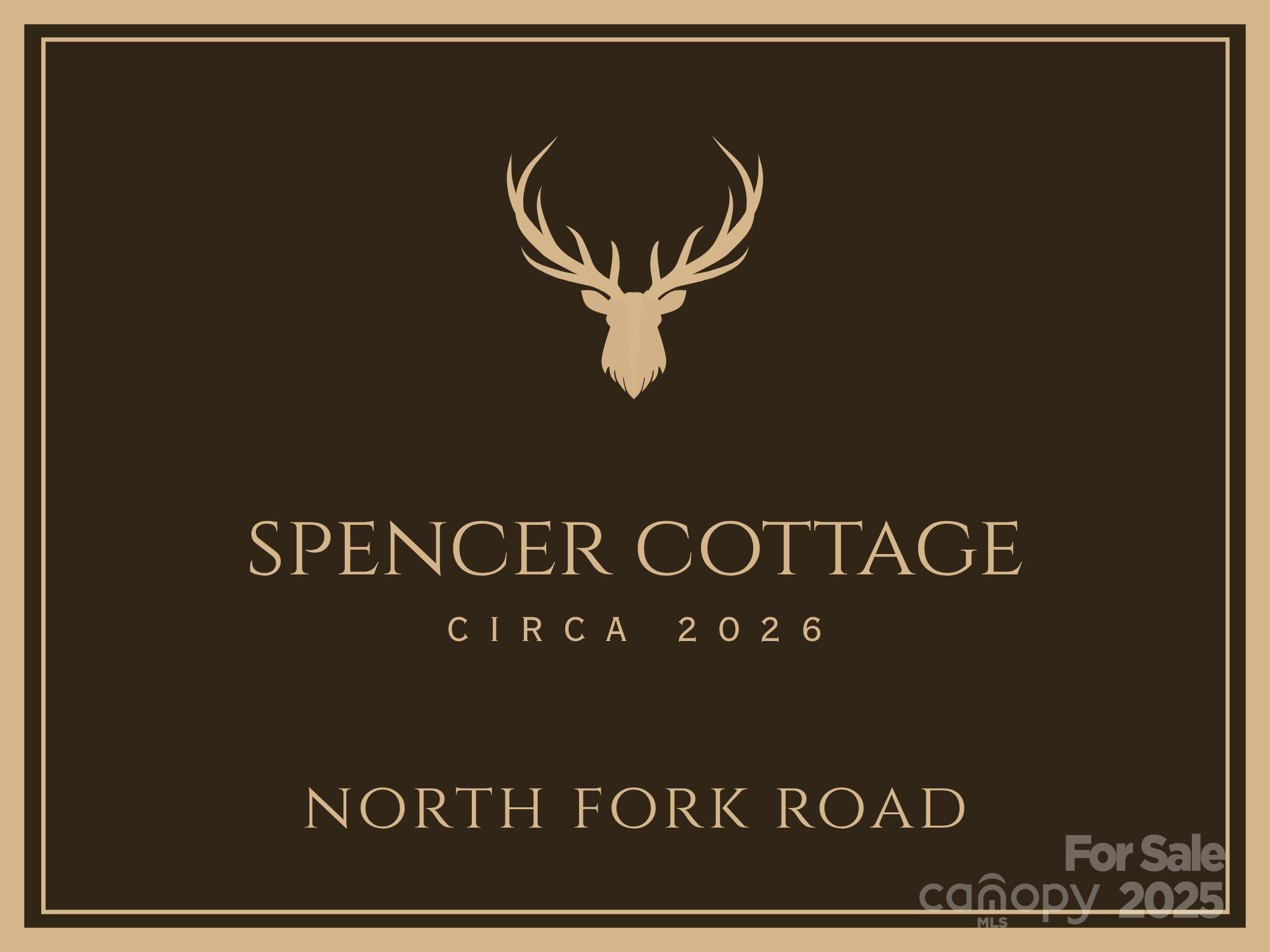 334 North Fork Road #2 — Black Mountain