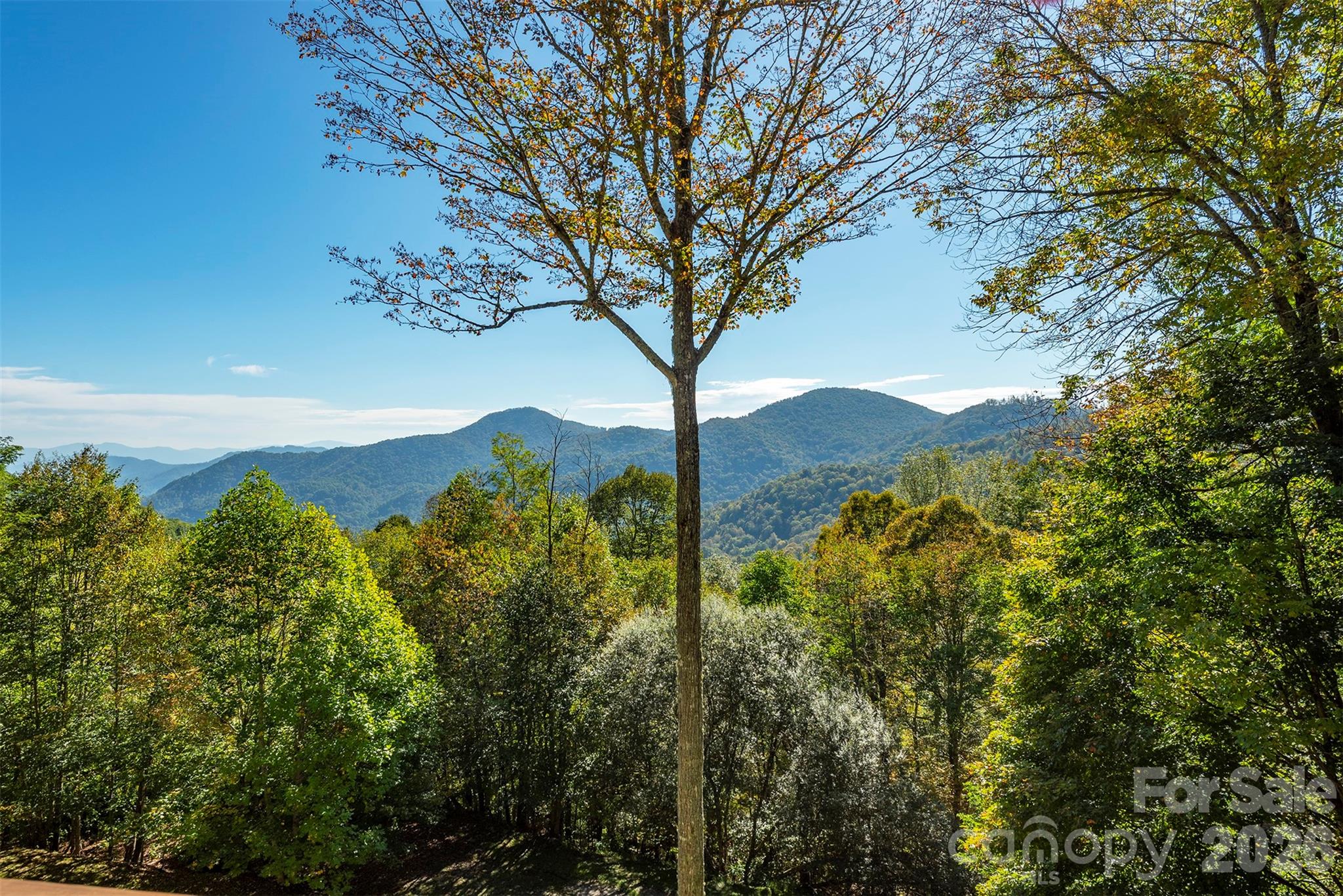 322 Goldenleaf Road — Mars Hill