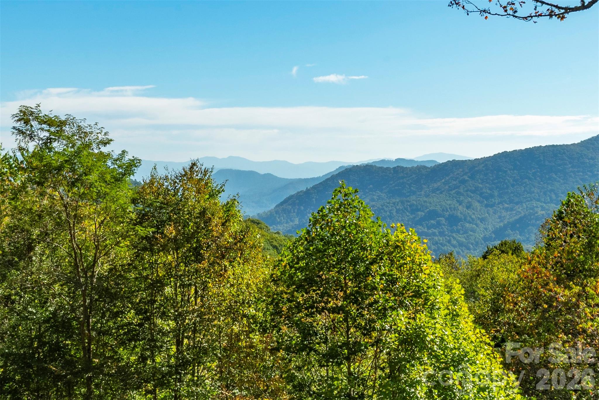 322 Goldenleaf Road — Mars Hill