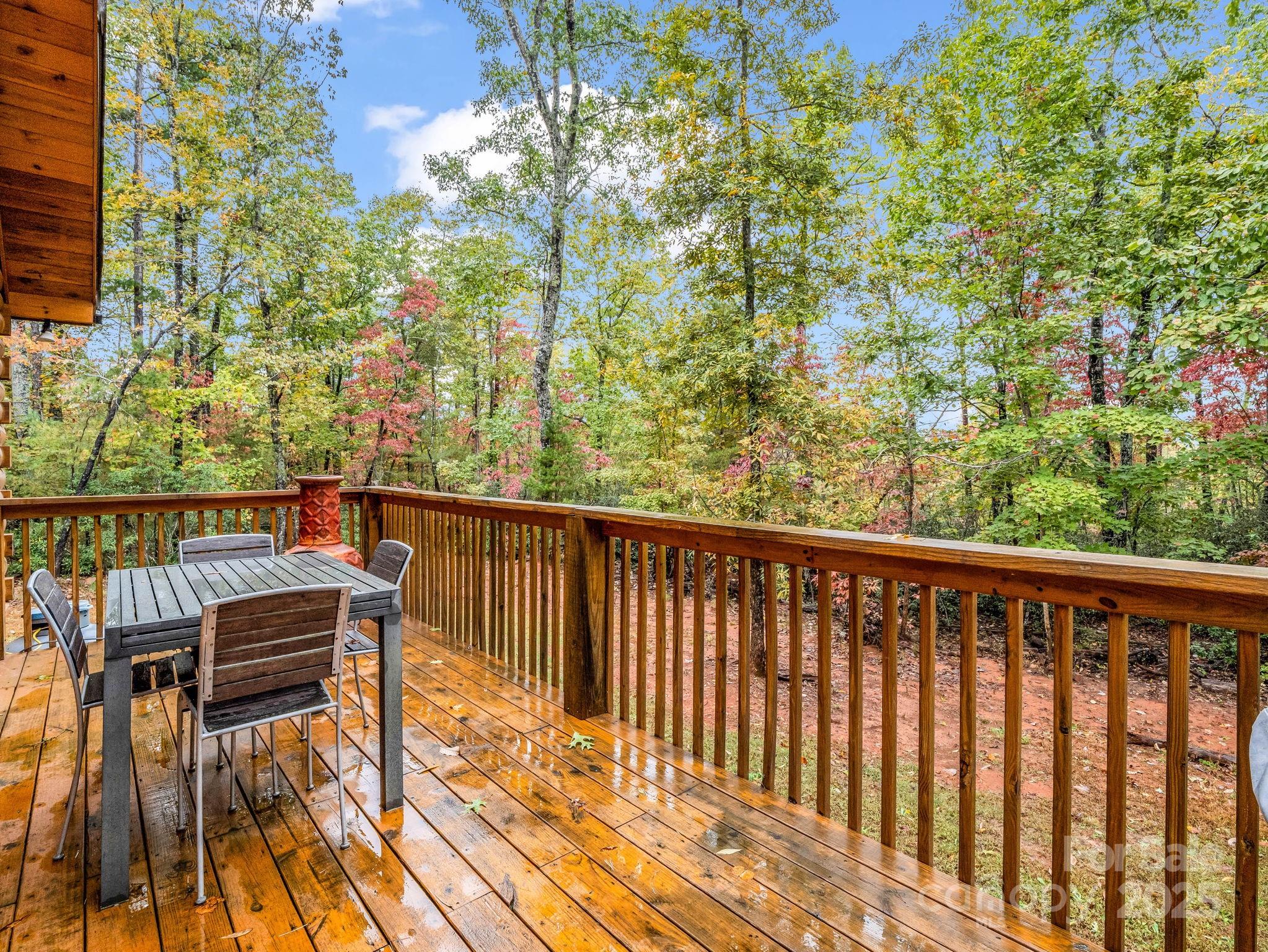 174 Doves Way — Lake Lure