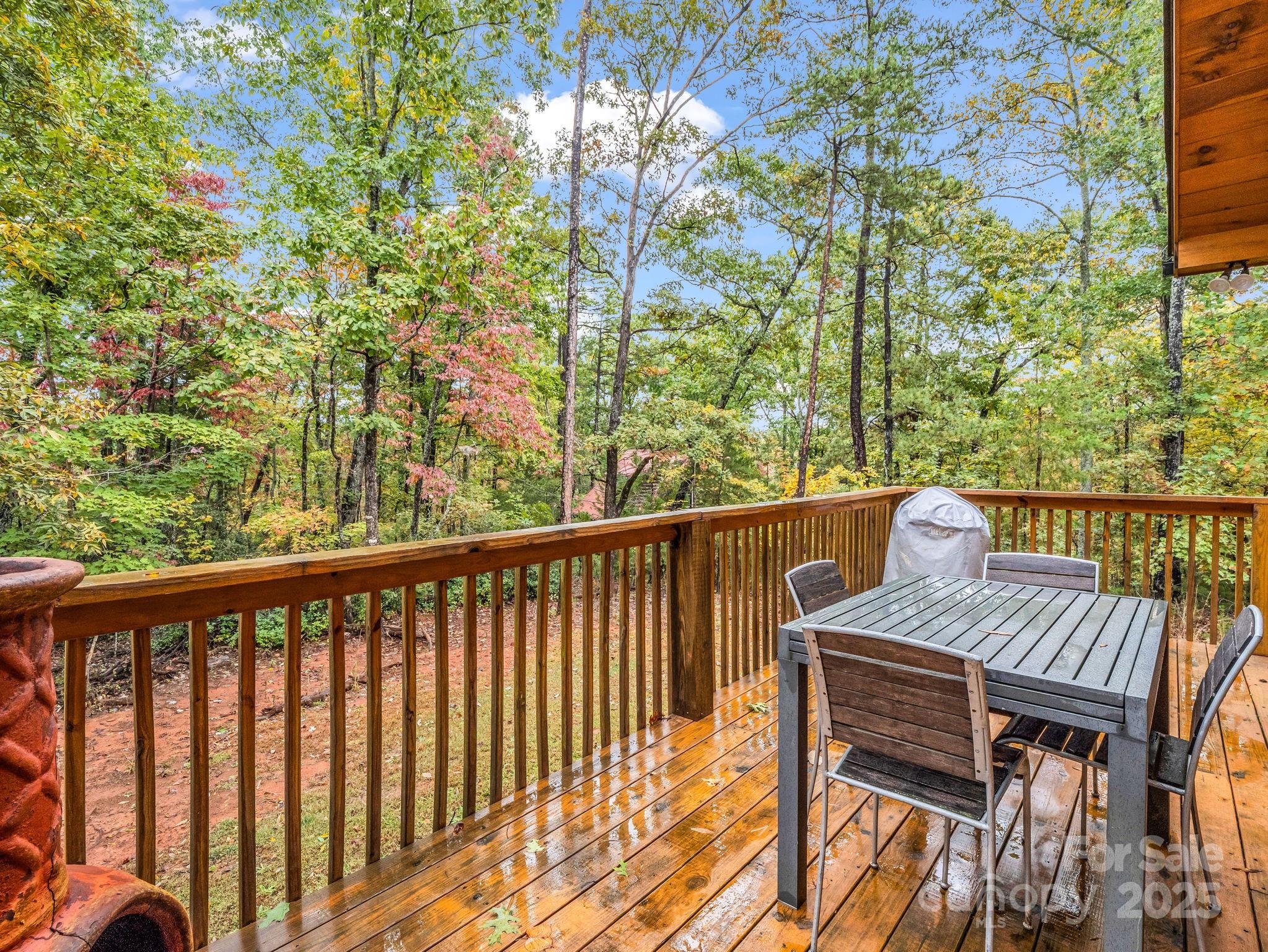 174 Doves Way — Lake Lure