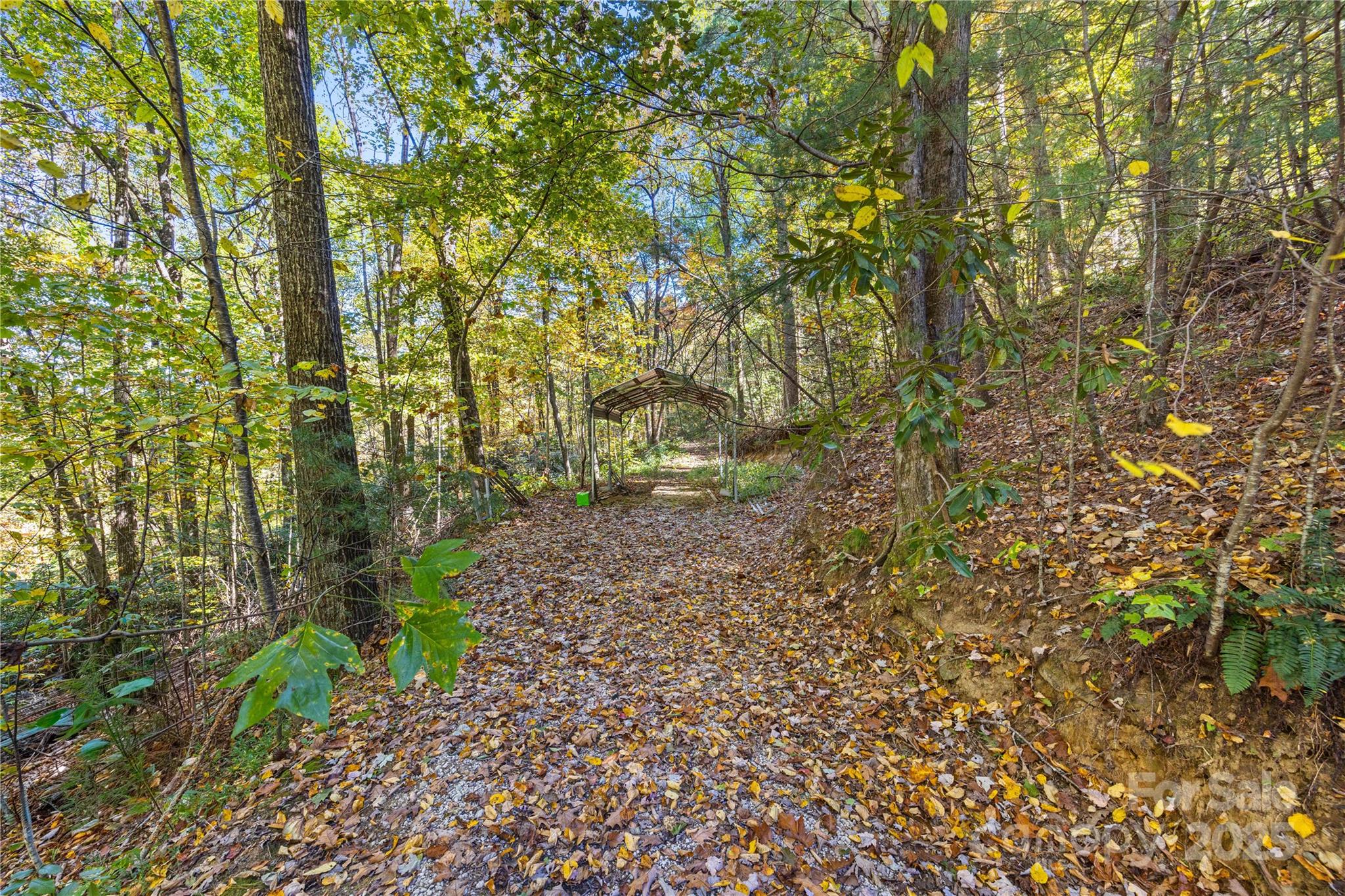 1308 Bell Mountain Road — Zirconia