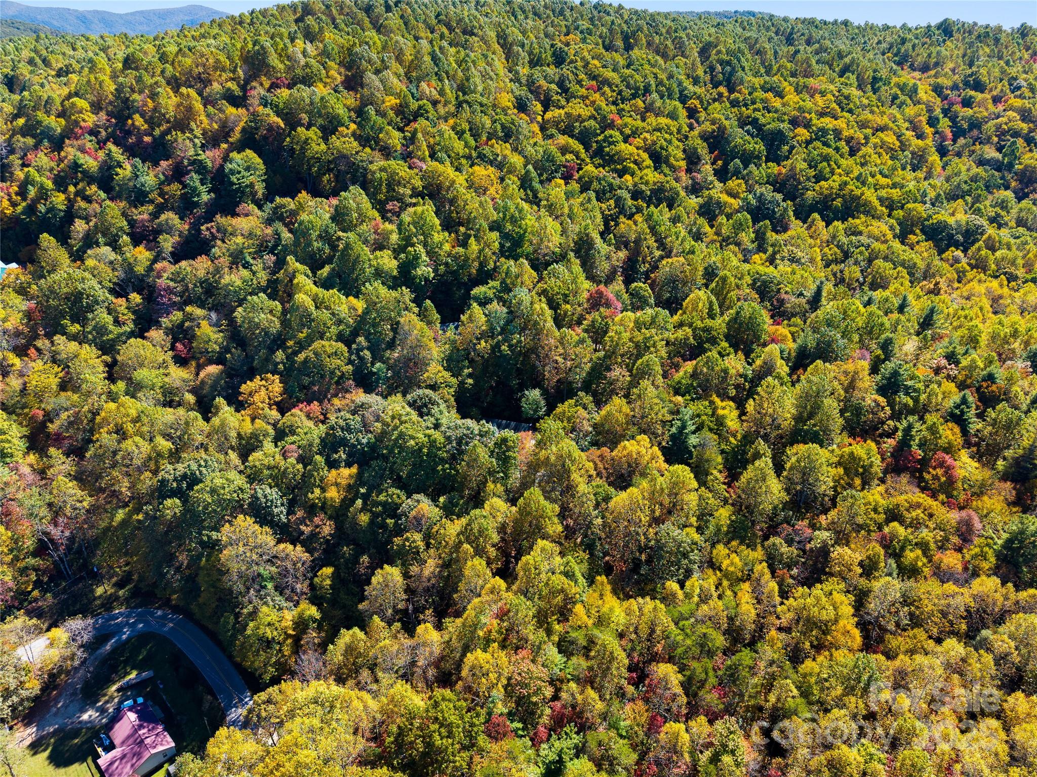 1308 Bell Mountain Road — Zirconia