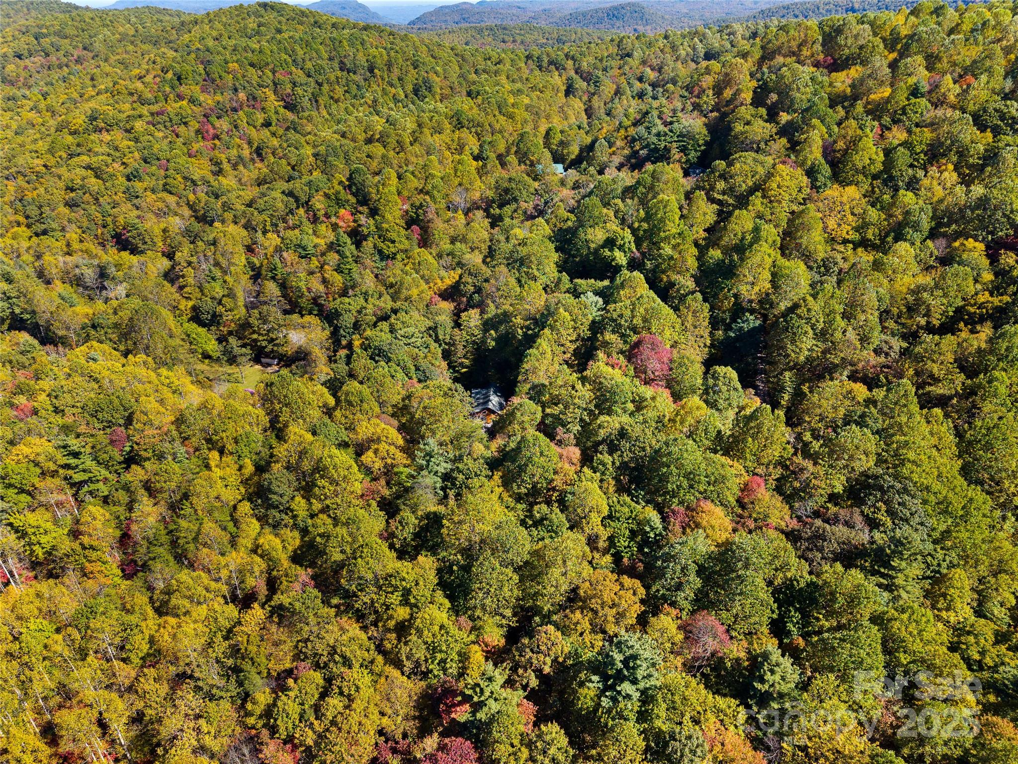 1308 Bell Mountain Road — Zirconia