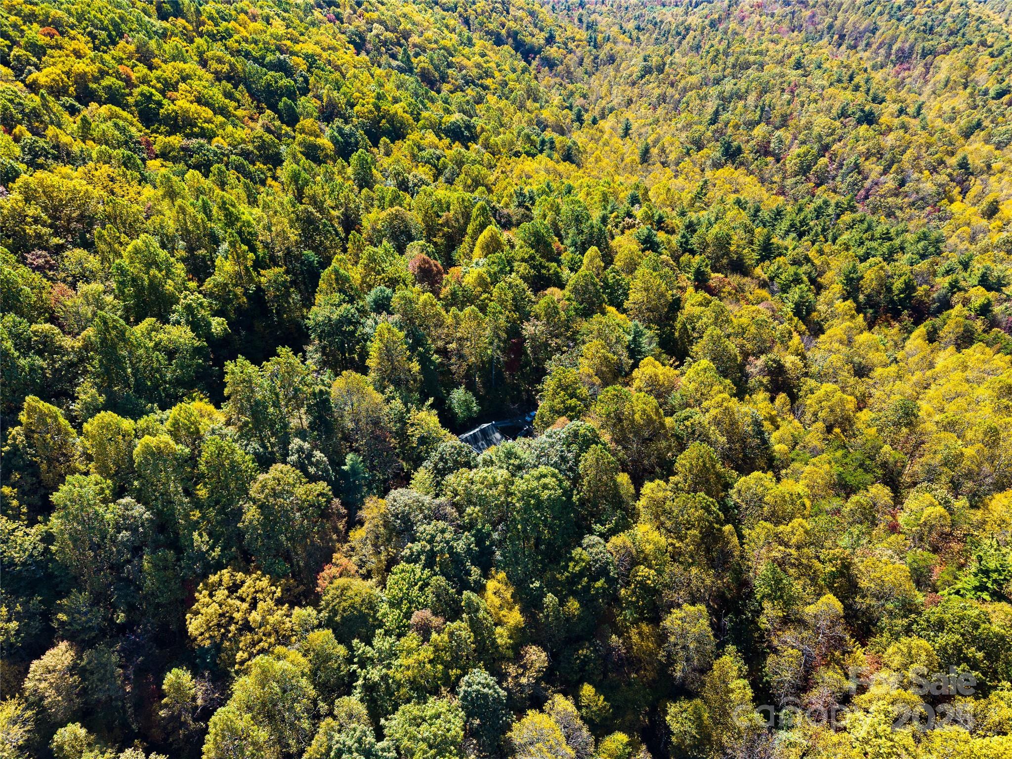 1308 Bell Mountain Road — Zirconia