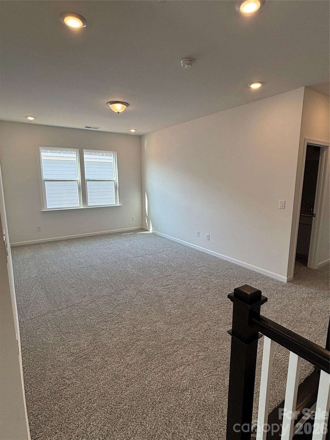 10221 Whitaker Pointe Drive — Huntersville