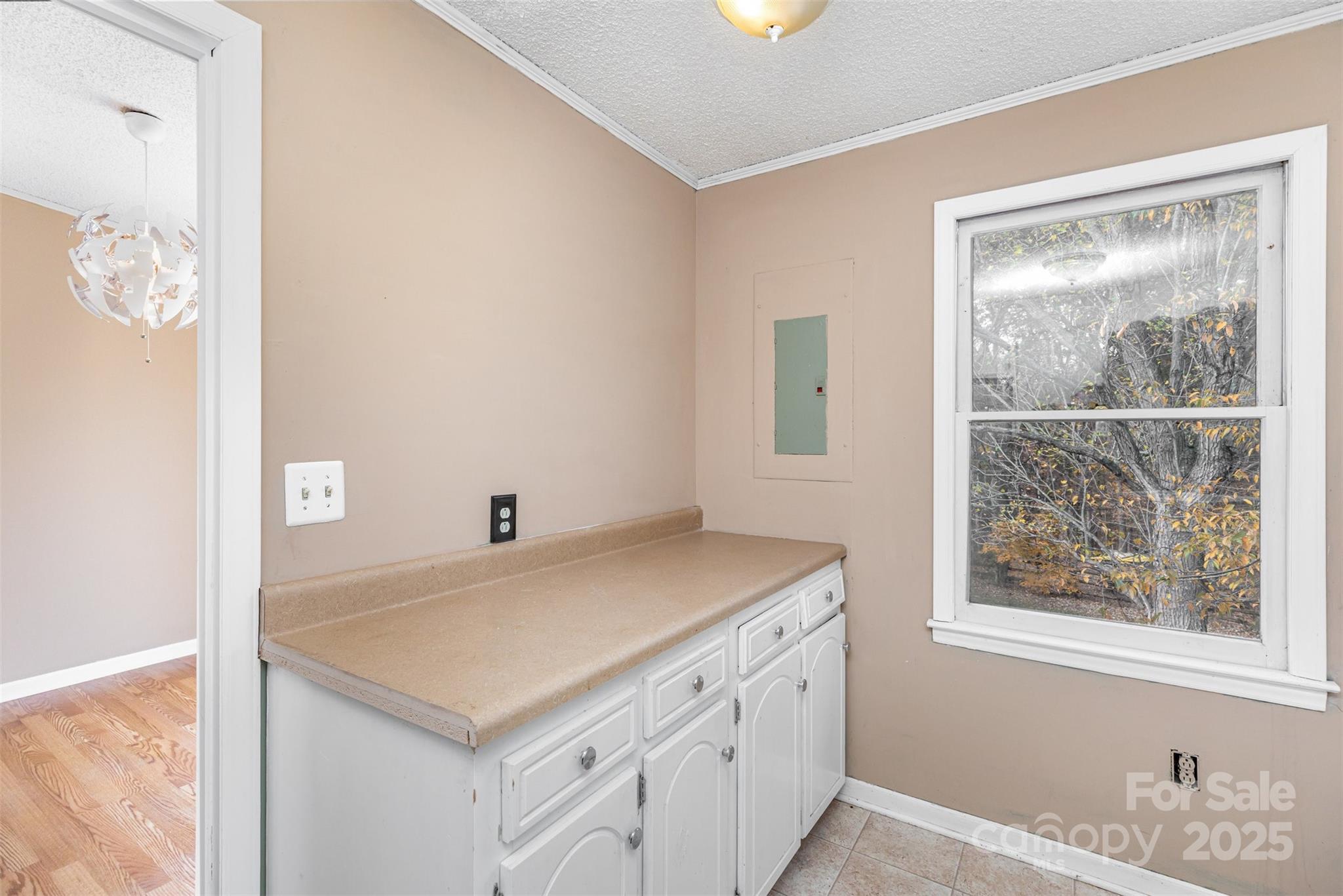 11031 Mallard Crossing Drive — Charlotte