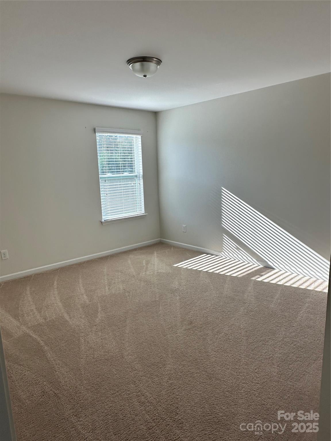 878 Summerlake Drive — Fort Mill